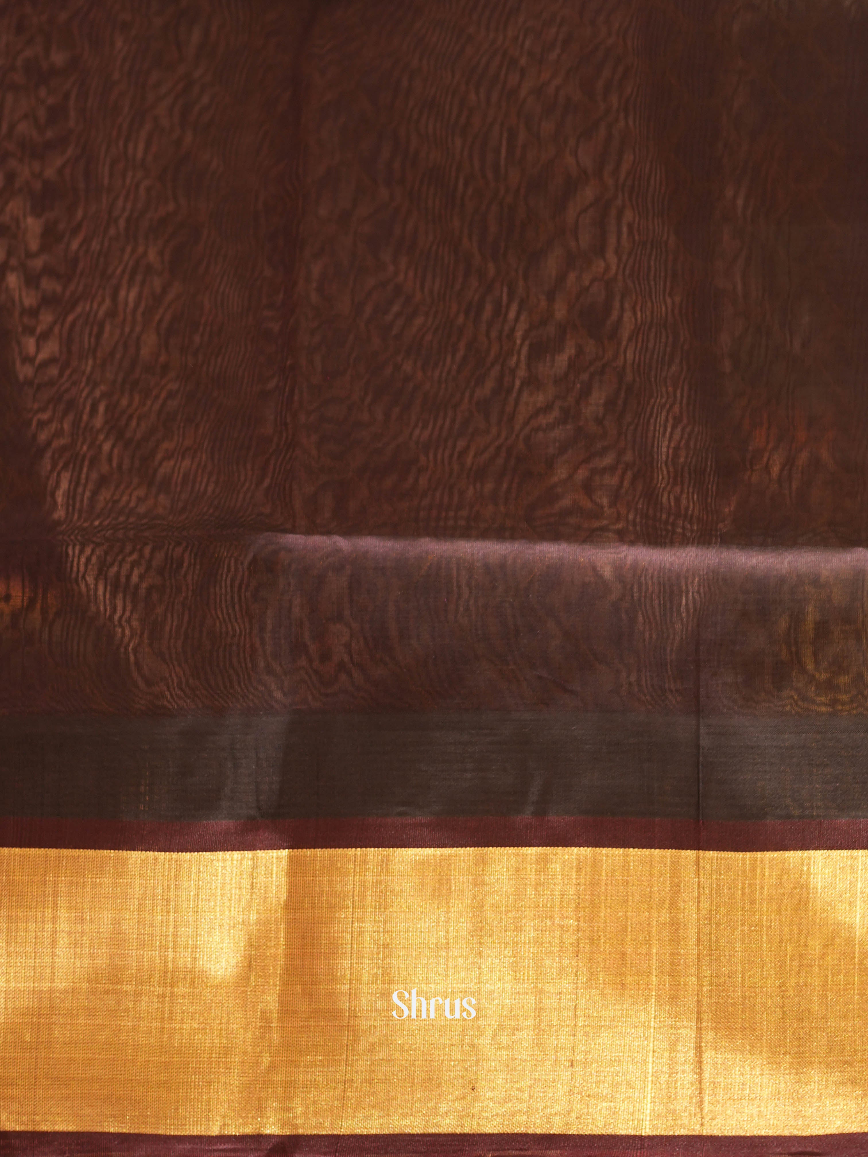 Cream & Brown - Silk Cotton Saree - Shop on ShrusEternity.com