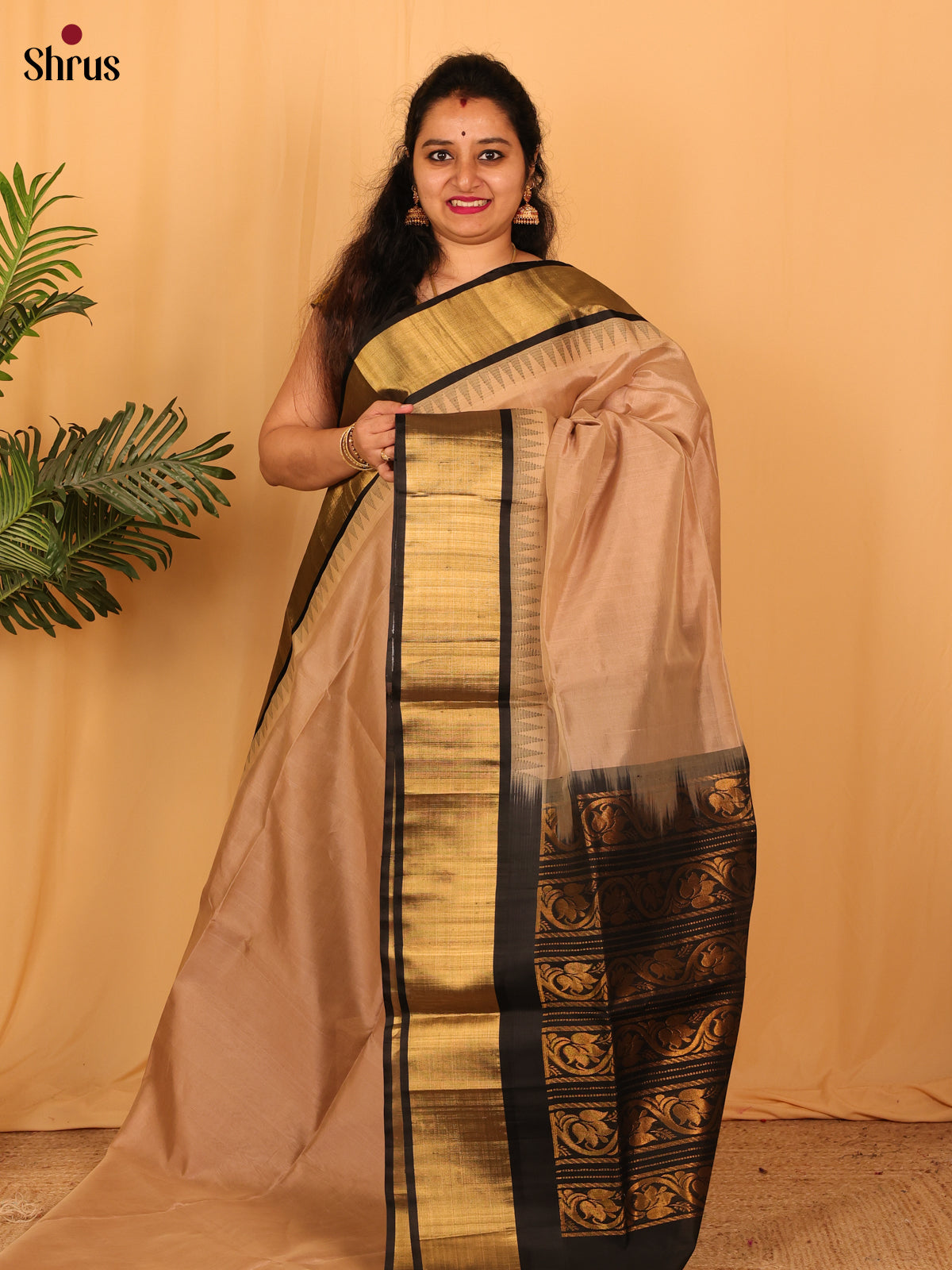 Lite Brown & Black - Silk Cotton Saree - Shop on ShrusEternity.com