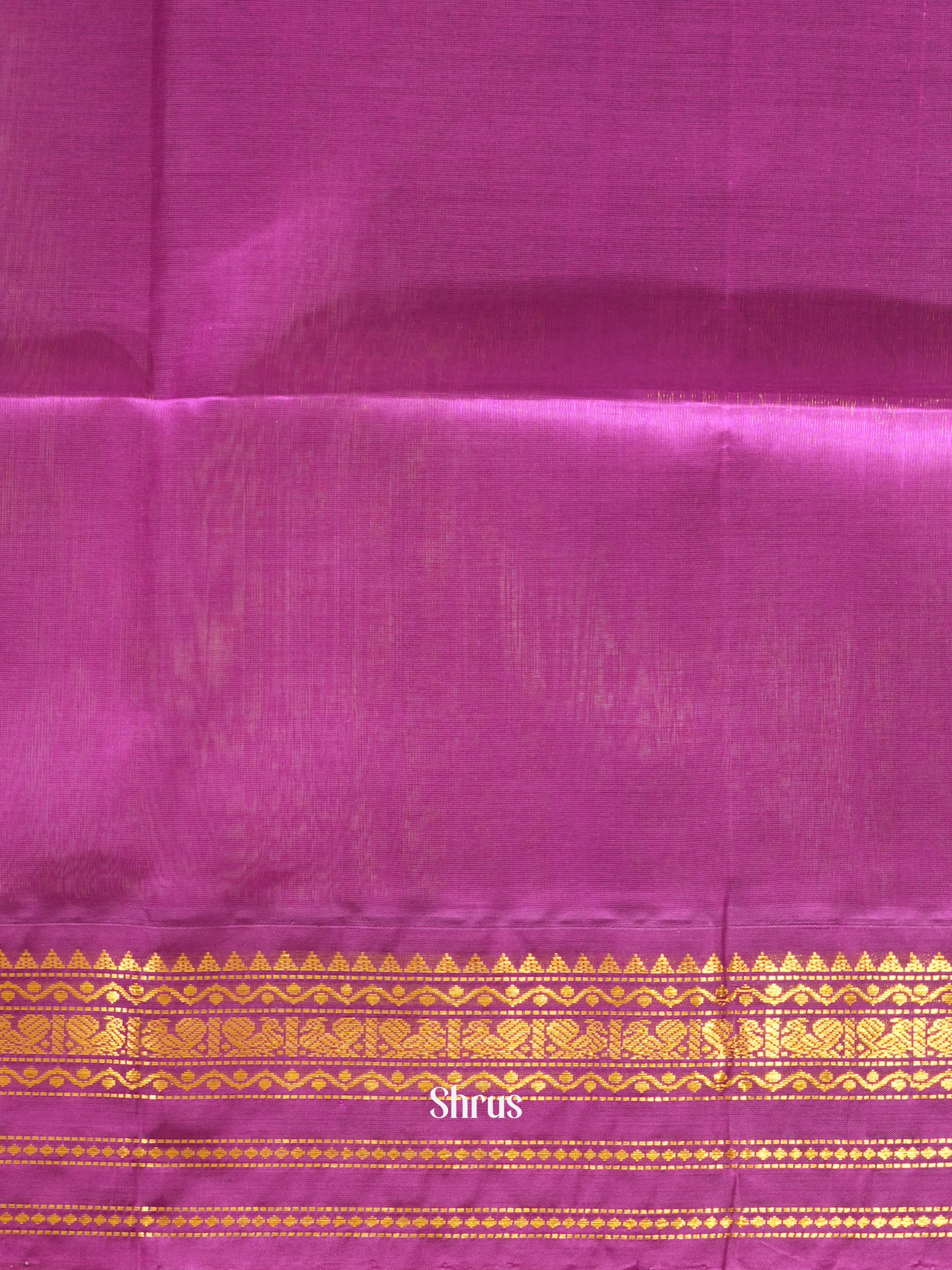 CHS03327 - Silk cotton Saree - Shop on ShrusEternity.com
