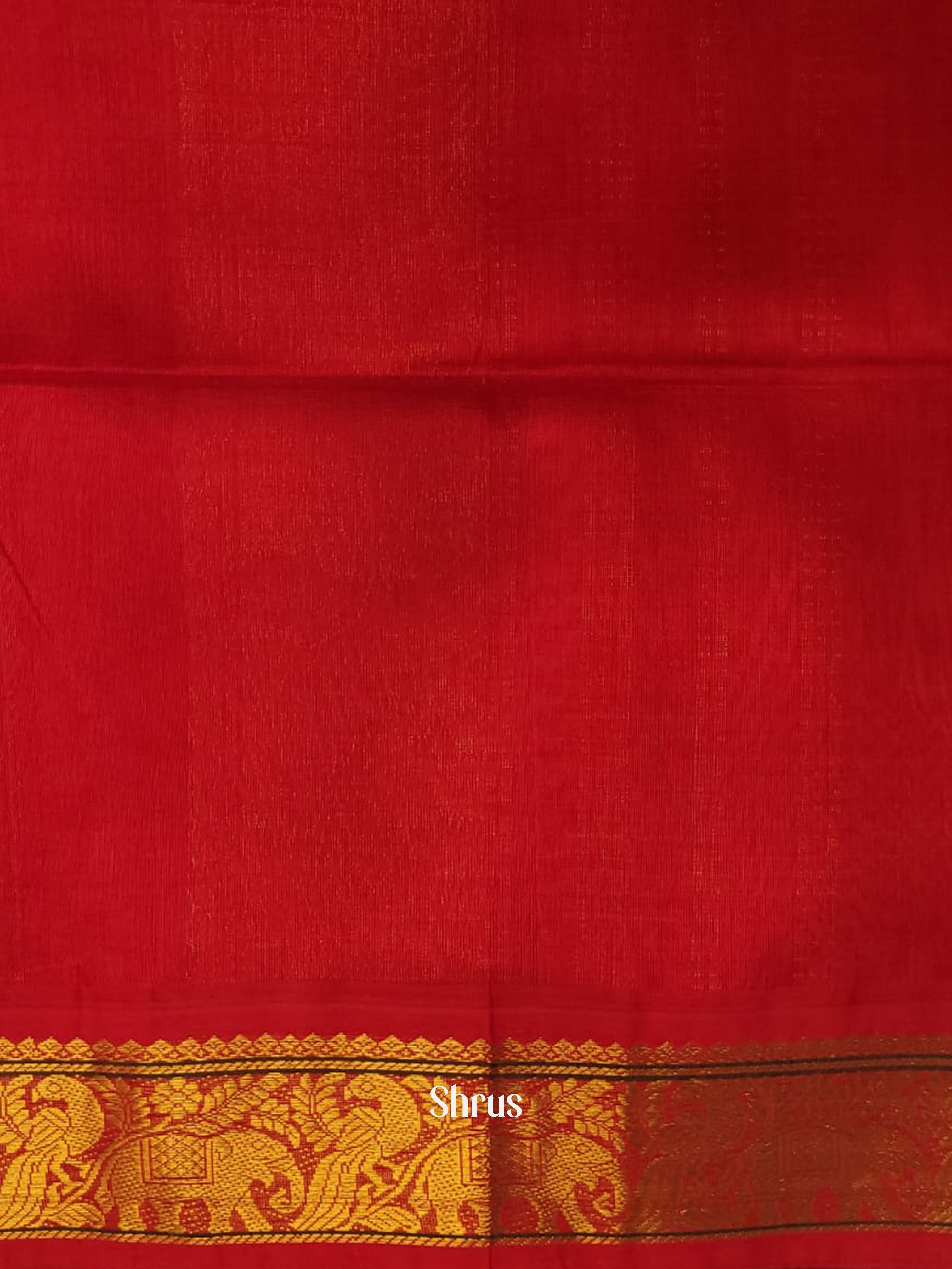 Peacock Blue & Red - Silk Cotton Saree - Shop on ShrusEternity.com