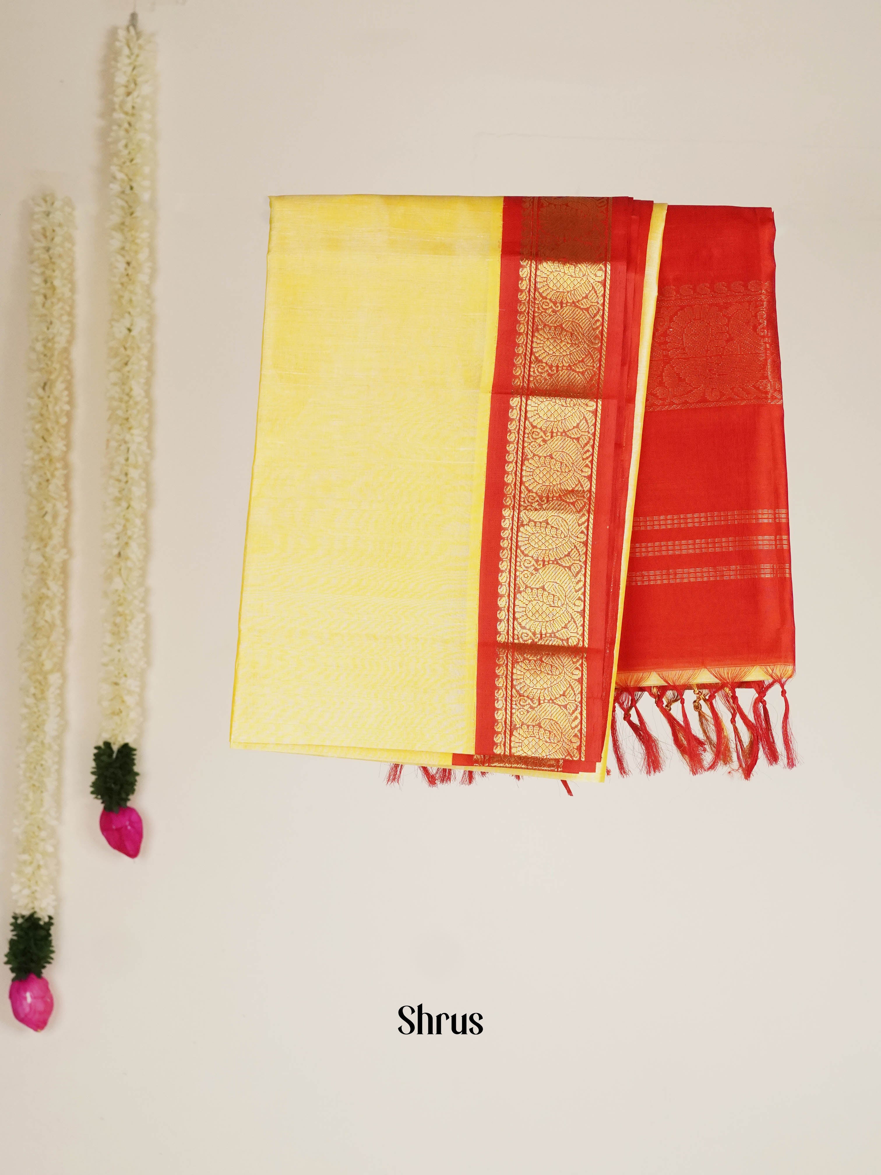 Cream & Red - Silk Cotton Saree - Shop on ShrusEternity.com