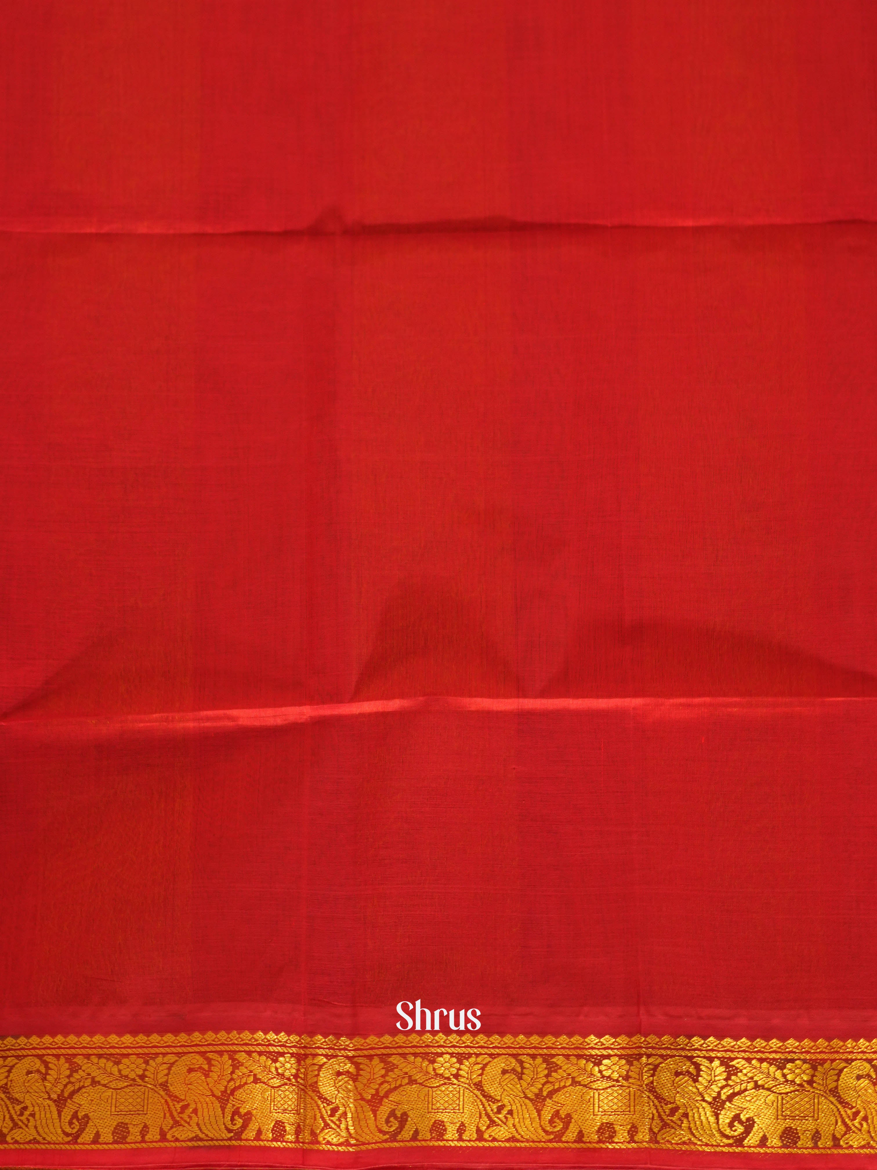 Blue & Red - Silk Cotton Saree - Shop on ShrusEternity.com