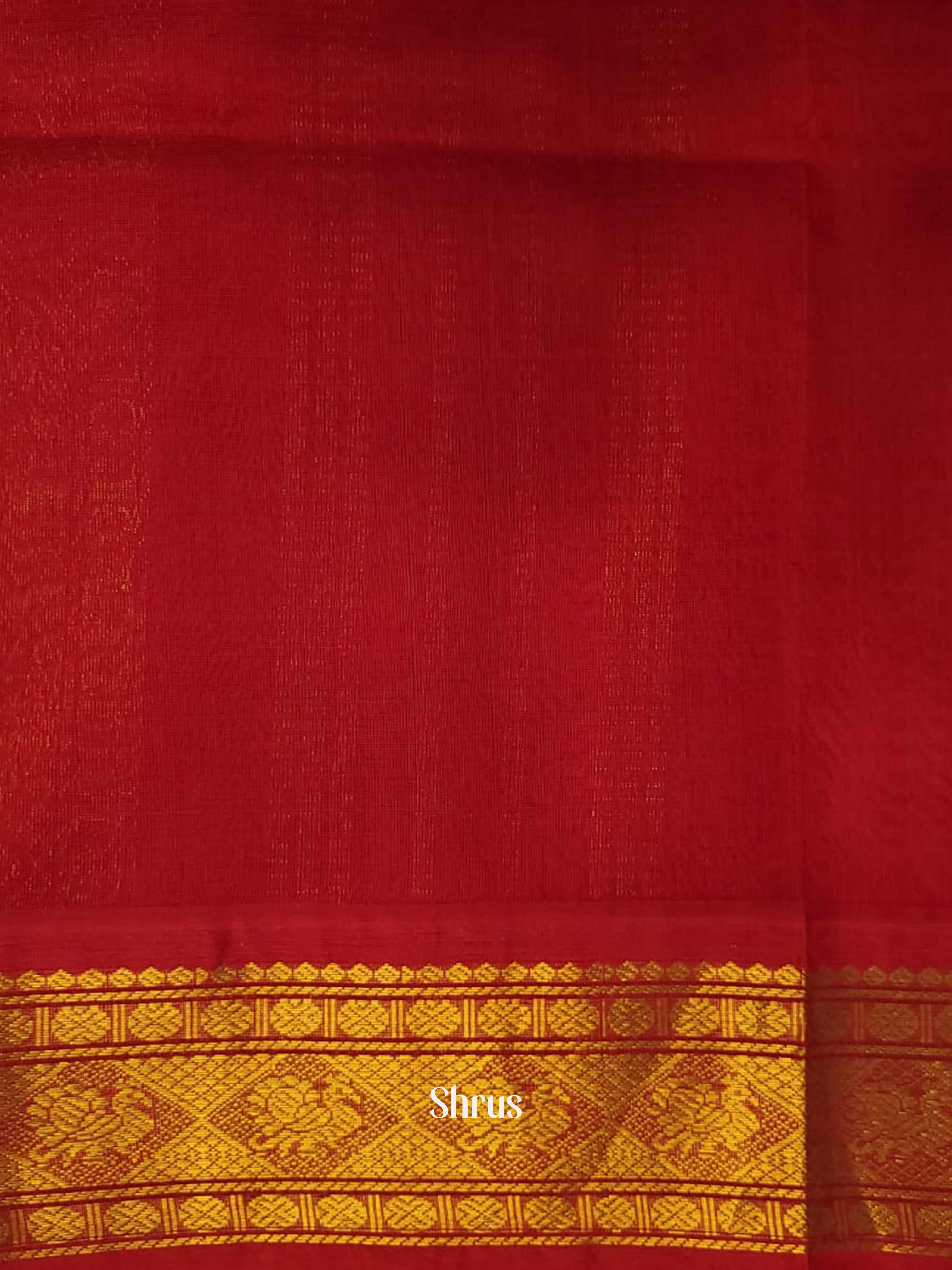 Navy Blue & Red - Silk Cotton Saree - Shop on ShrusEternity.com