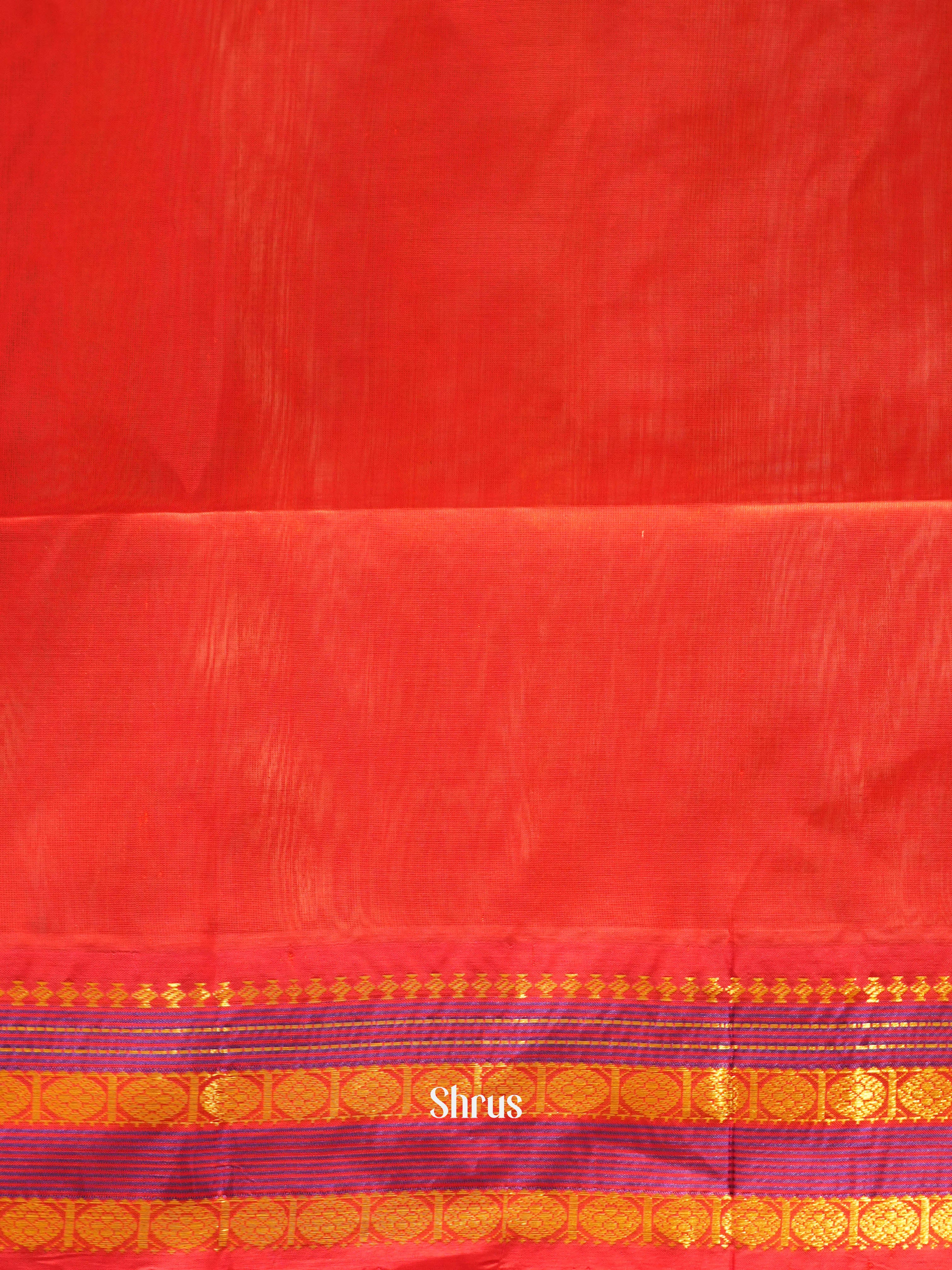 CHS03366 - Silk Cotton Saree - Shop on ShrusEternity.com