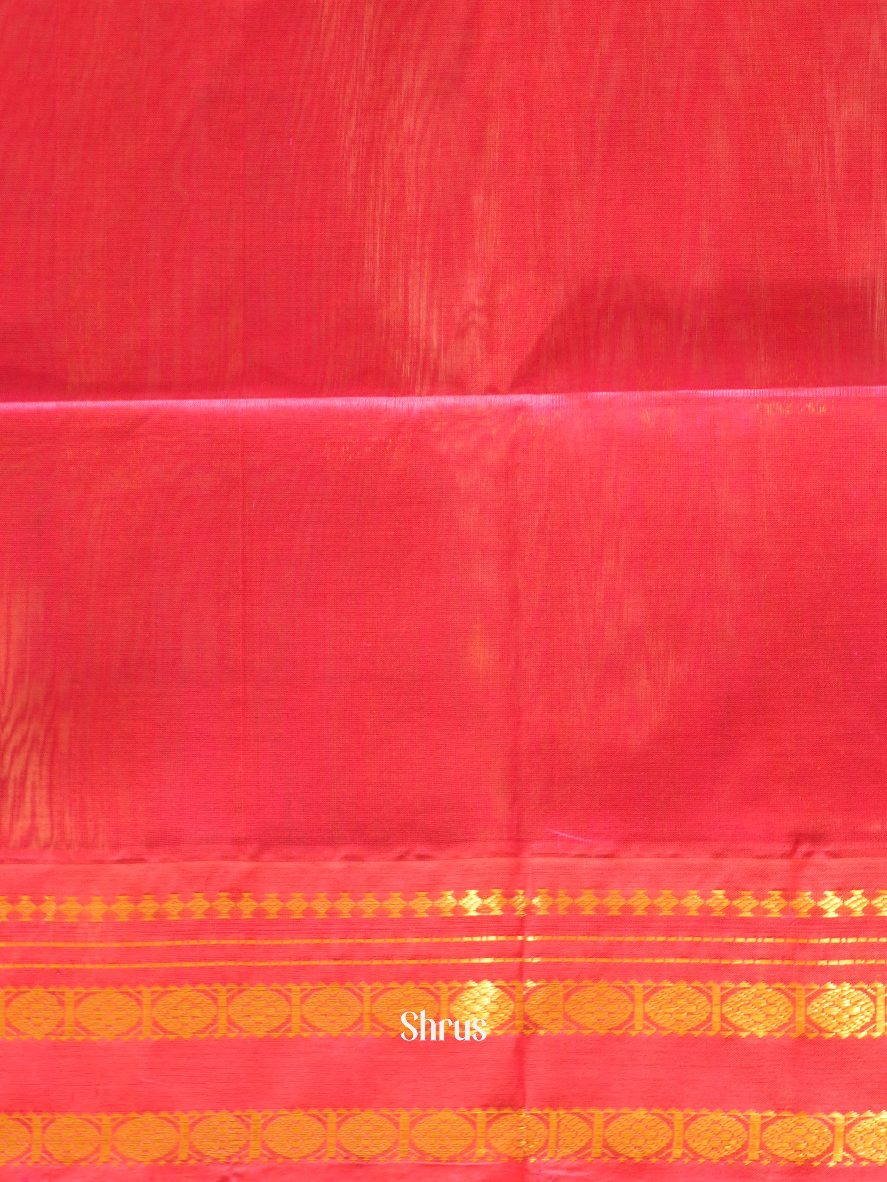 CHS03367 - Silk Cotton Saree - Shop on ShrusEternity.com