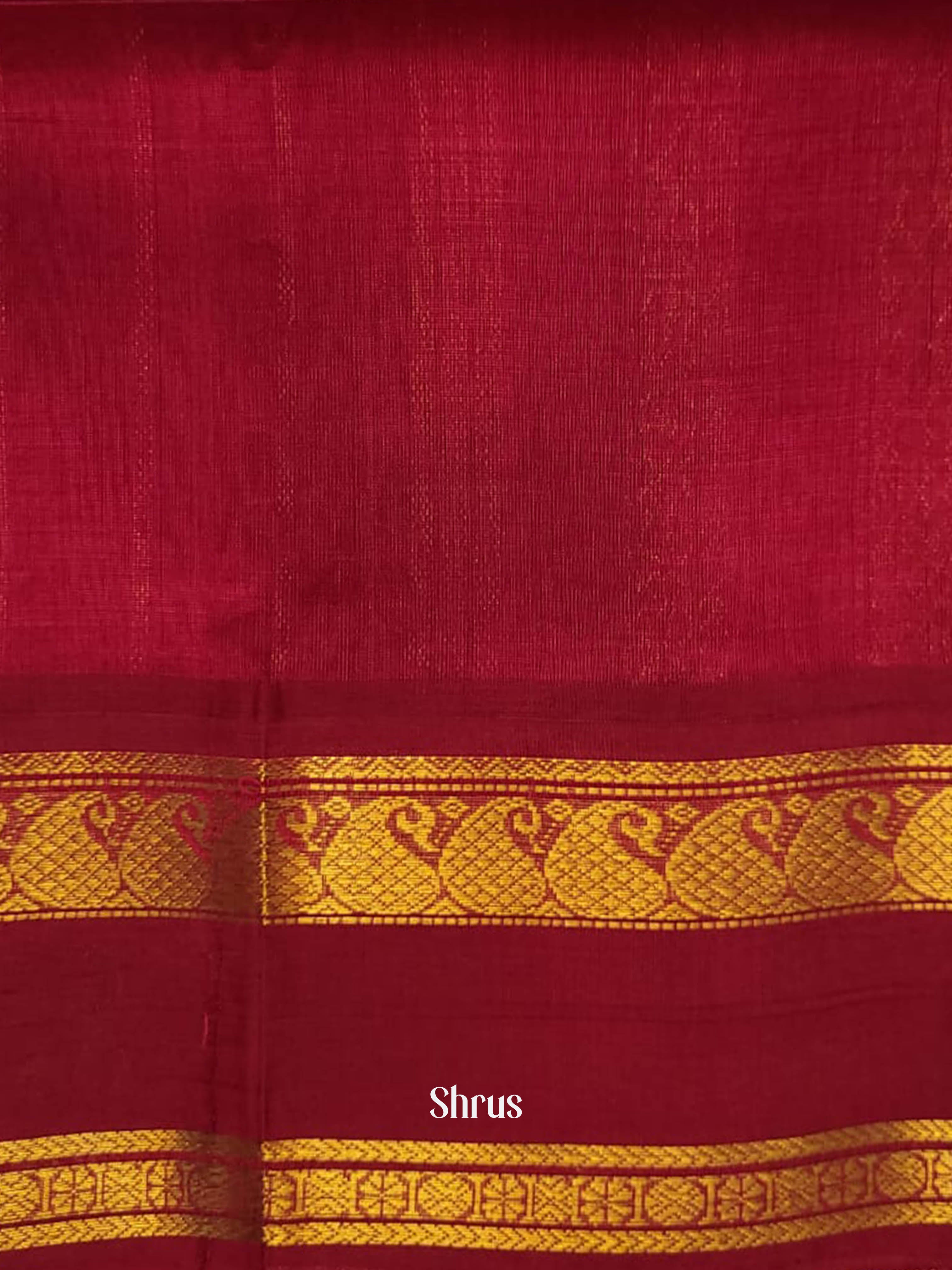 CHS03380 - Silk Cotton saree - Shop on ShrusEternity.com