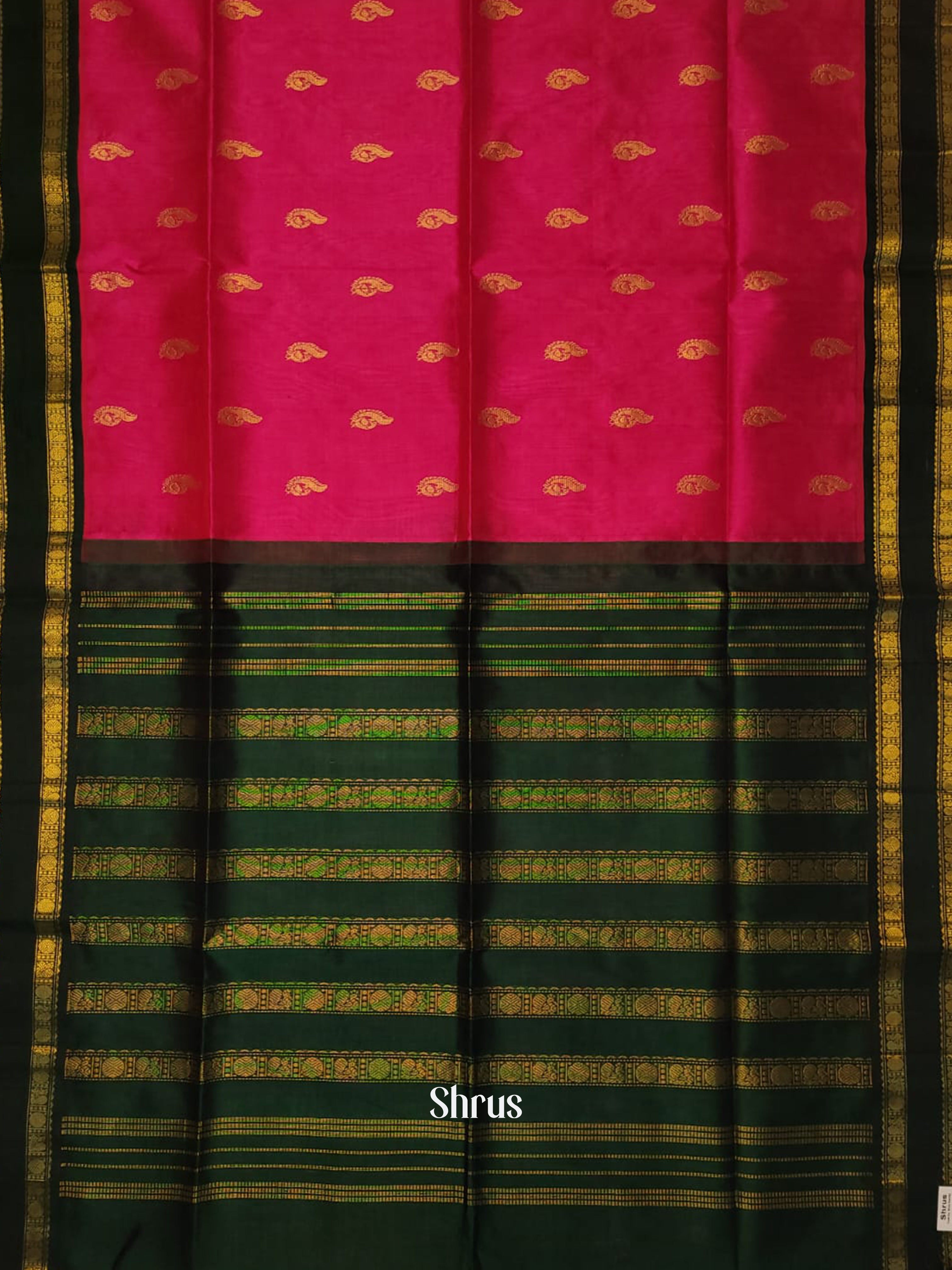 Pink & Bottle Green - Silk Cotton Saree - Shop on ShrusEternity.com