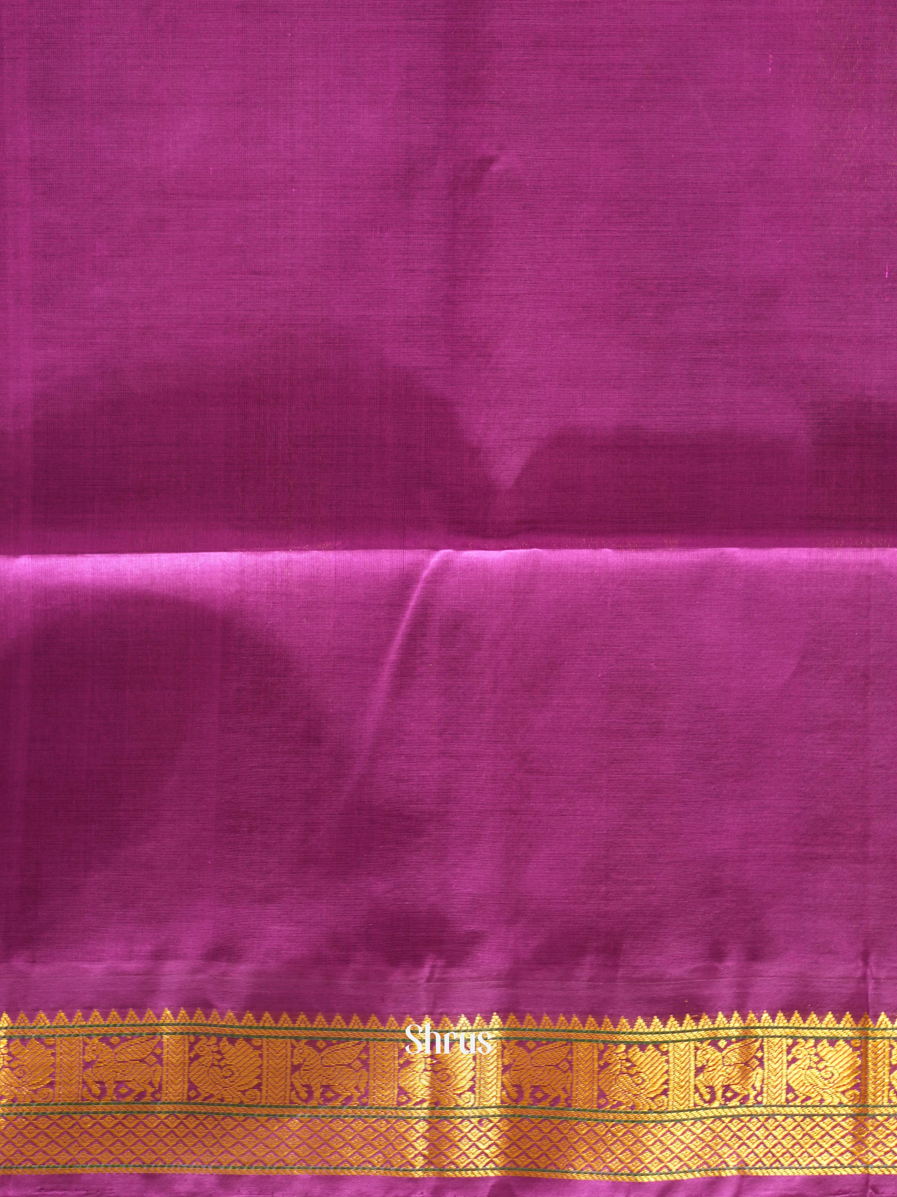 CHS03395 - Silk Cotton Saree - Shop on ShrusEternity.com