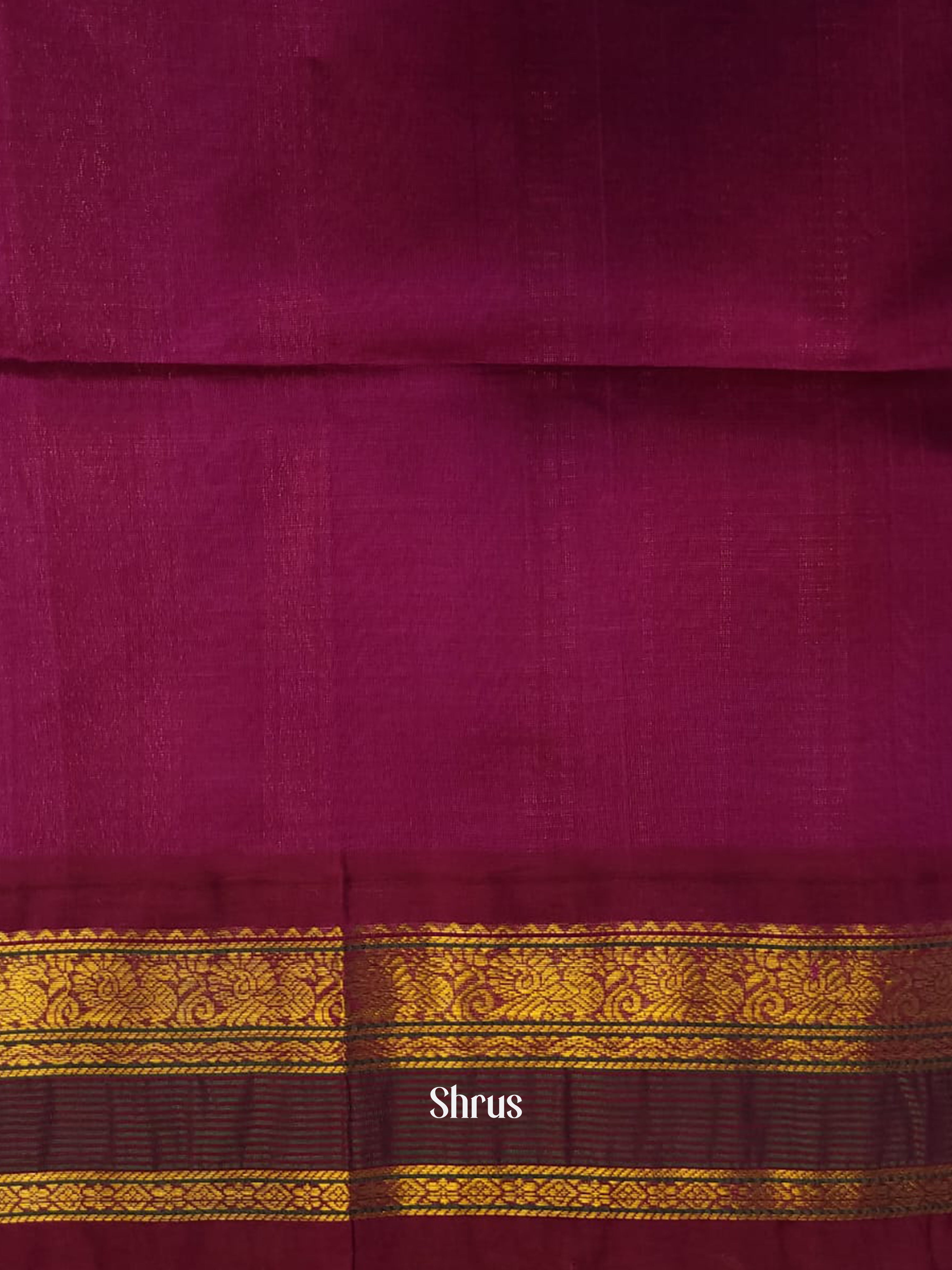 Blue & Pink - Silk Cotton Saree - Shop on ShrusEternity.com