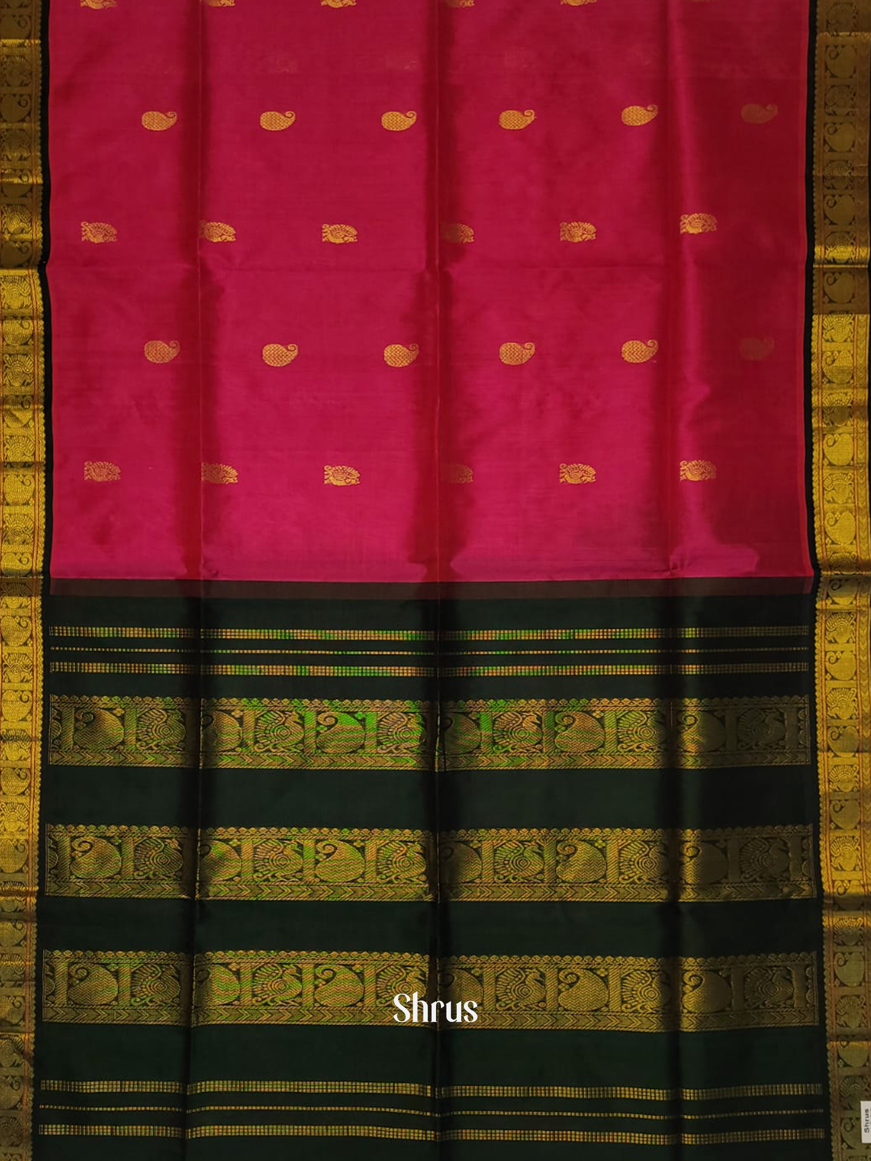Pink & Bottle Green - Silk Cotton Saree - Shop on ShrusEternity.com