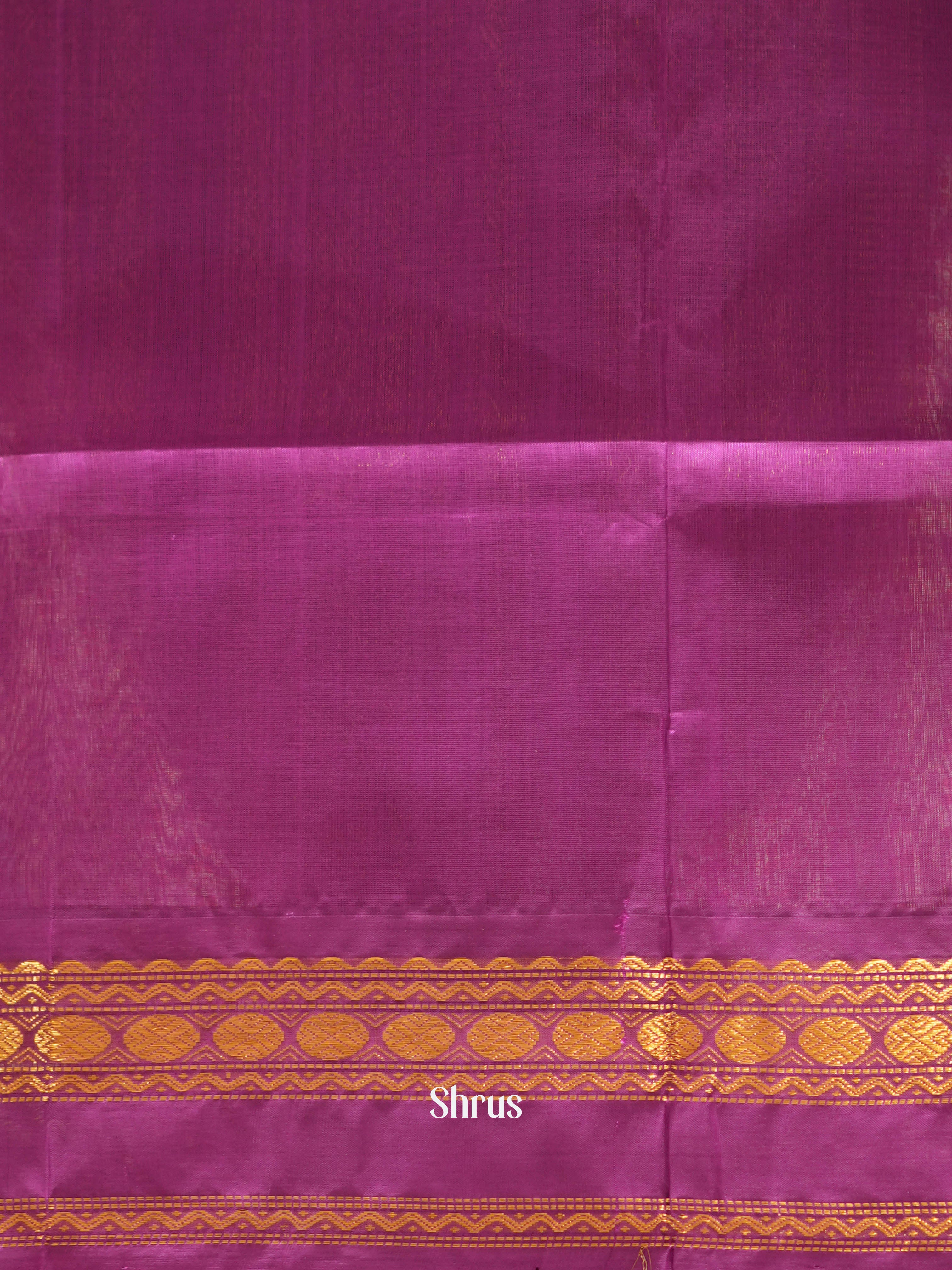 CHS03421 - Silk Cotton Saree - Shop on ShrusEternity.com