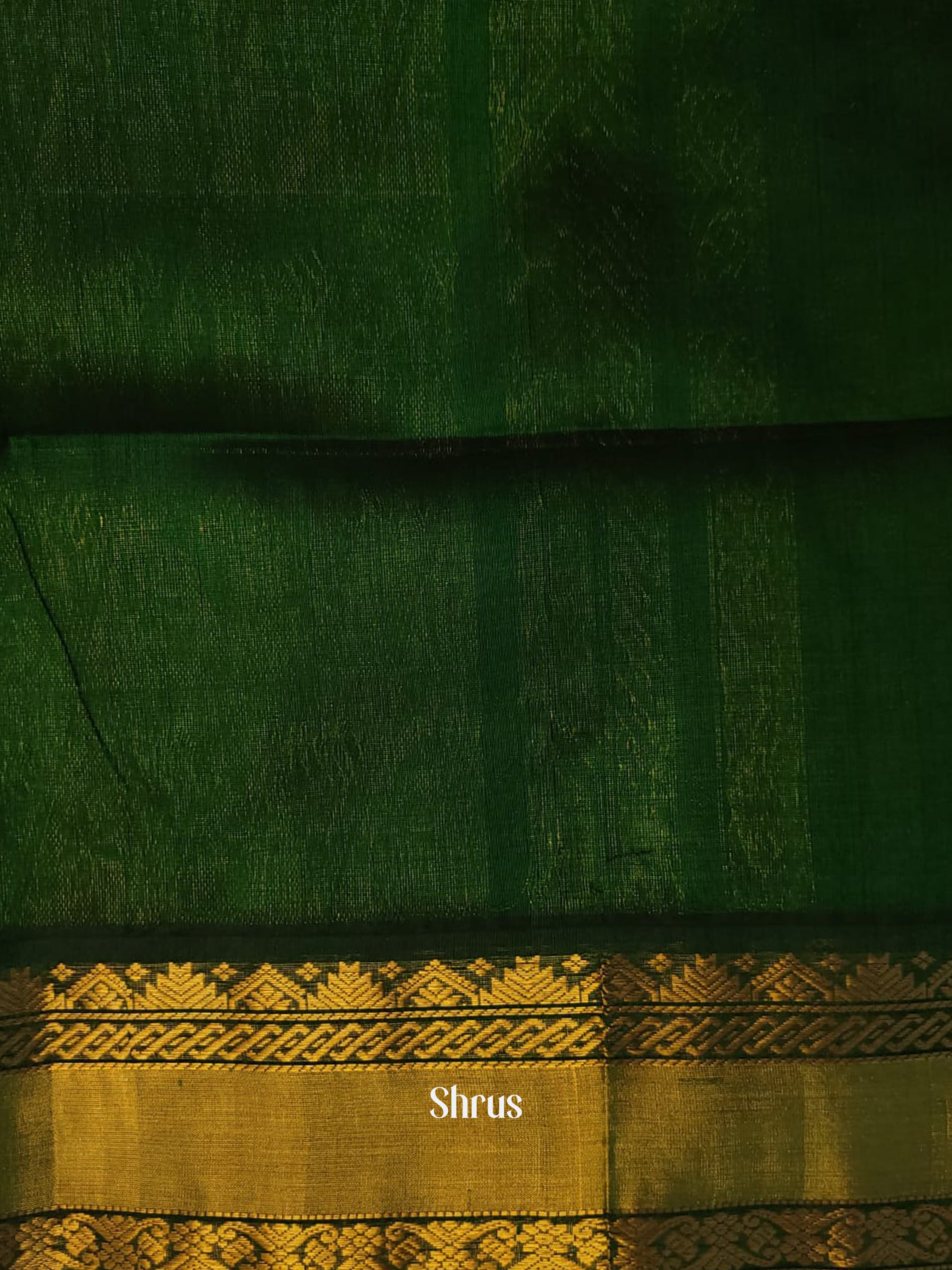 CHS03430 - Silk Cotton Saree - Shop on ShrusEternity.com