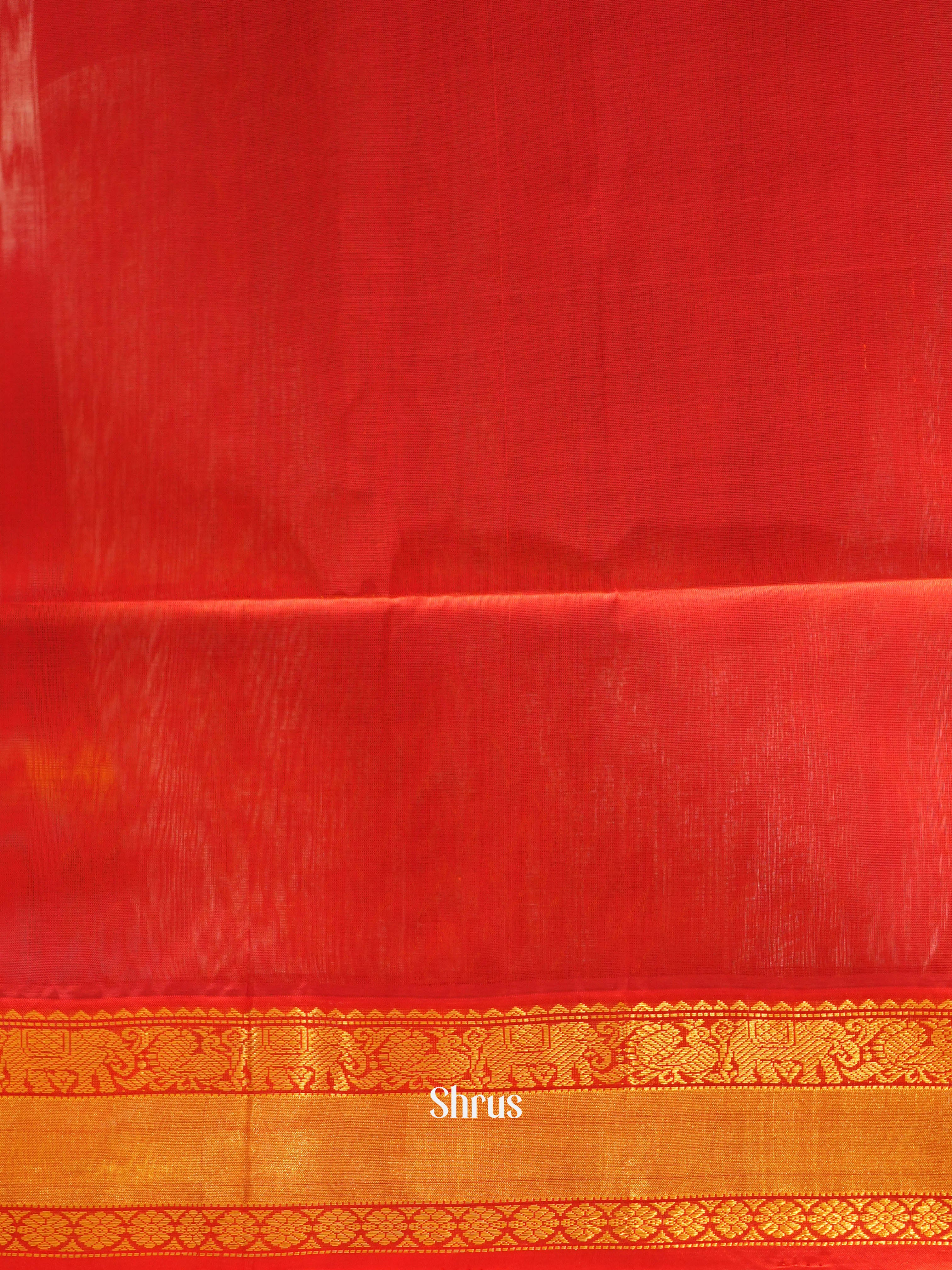 Blue & Red - Silk Cotton Saree - Shop on ShrusEternity.com