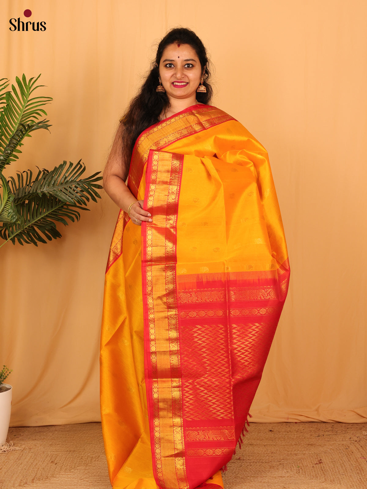 Mambazha Yellow & Red - Silk Cotton Saree - Shop on ShrusEternity.com