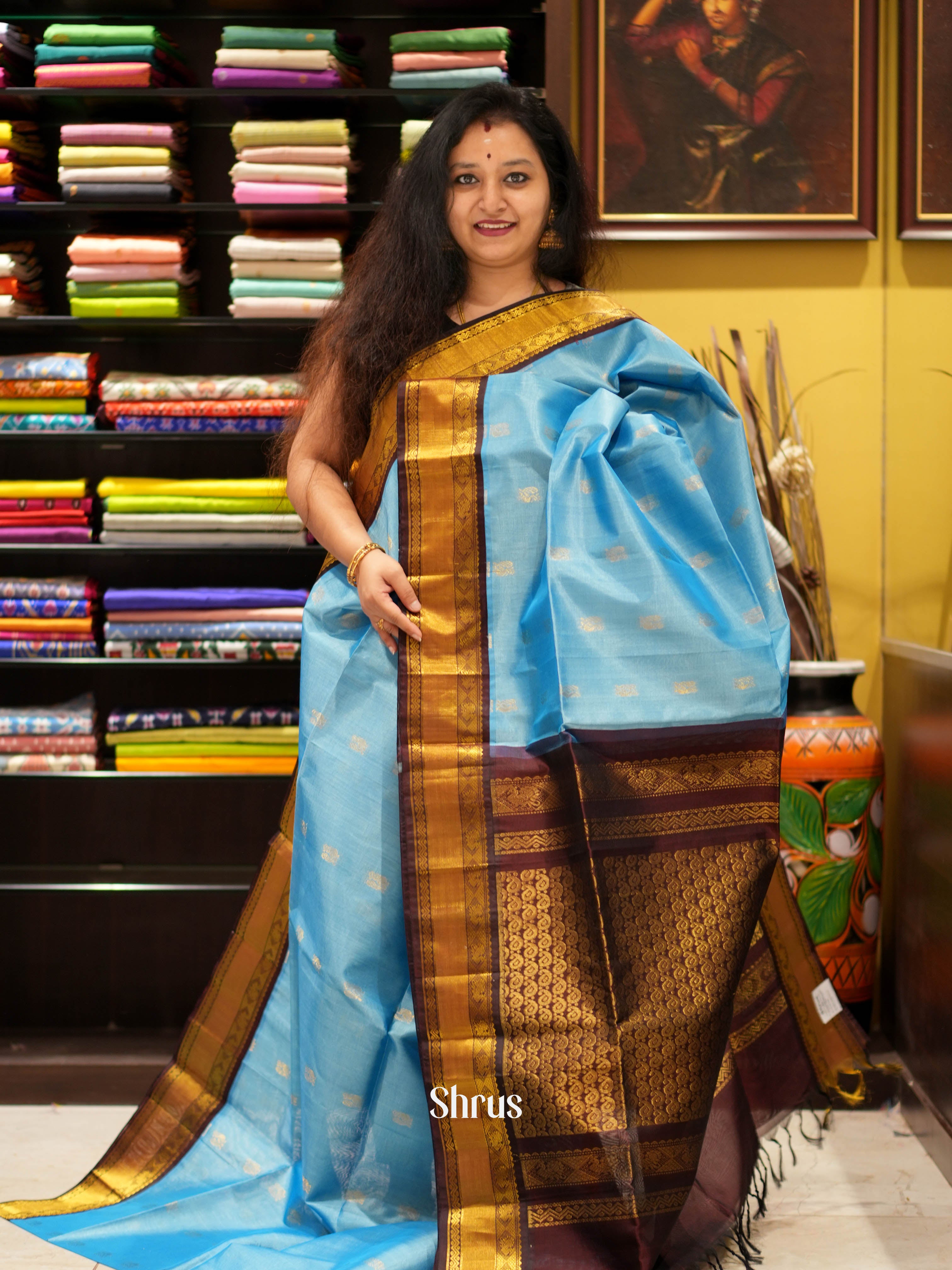 Blue & Brown - Silk Cotton Saree - Shop on ShrusEternity.com