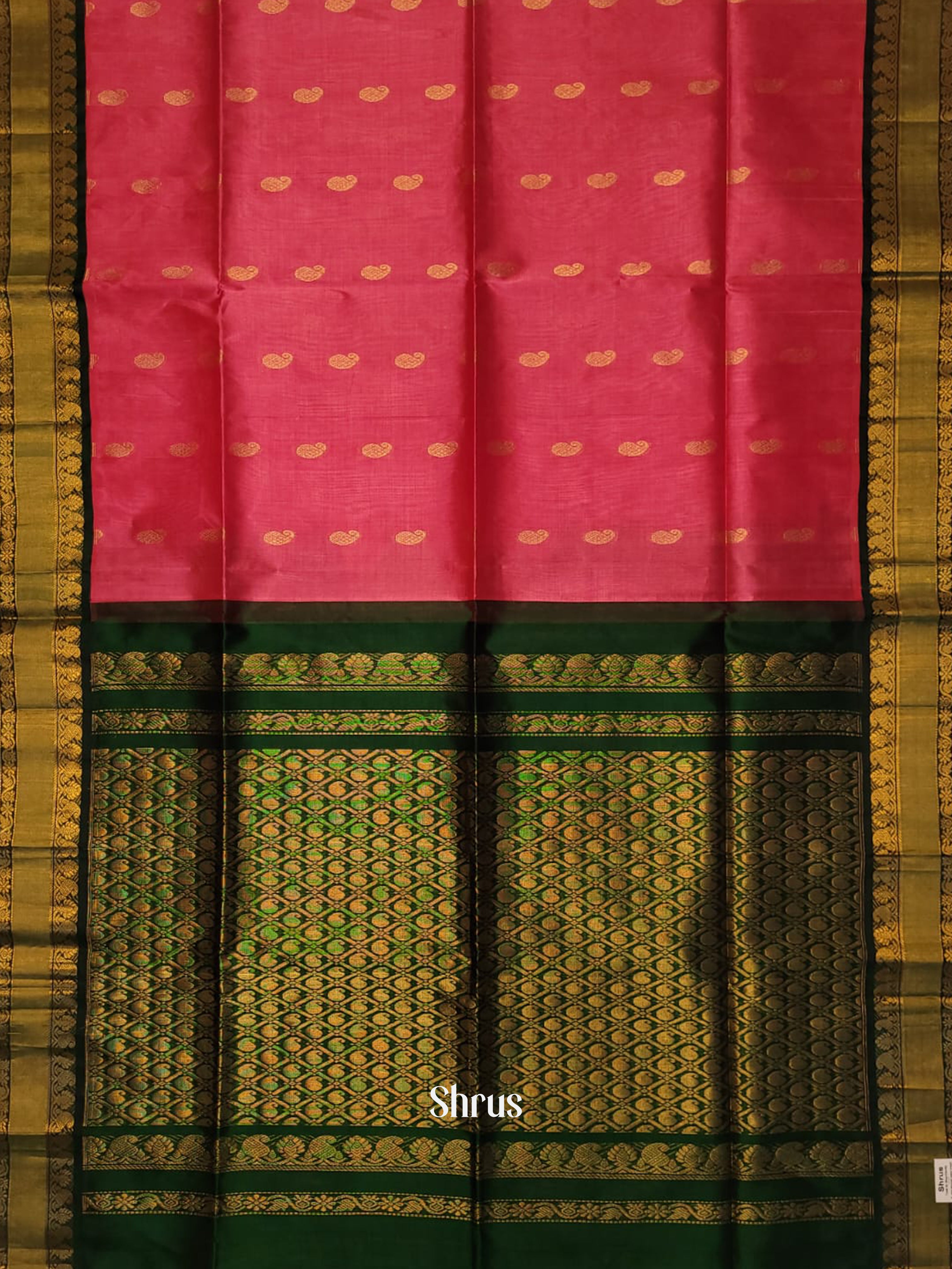 Pink & Green - Silk Cotton Saree - Shop on ShrusEternity.com