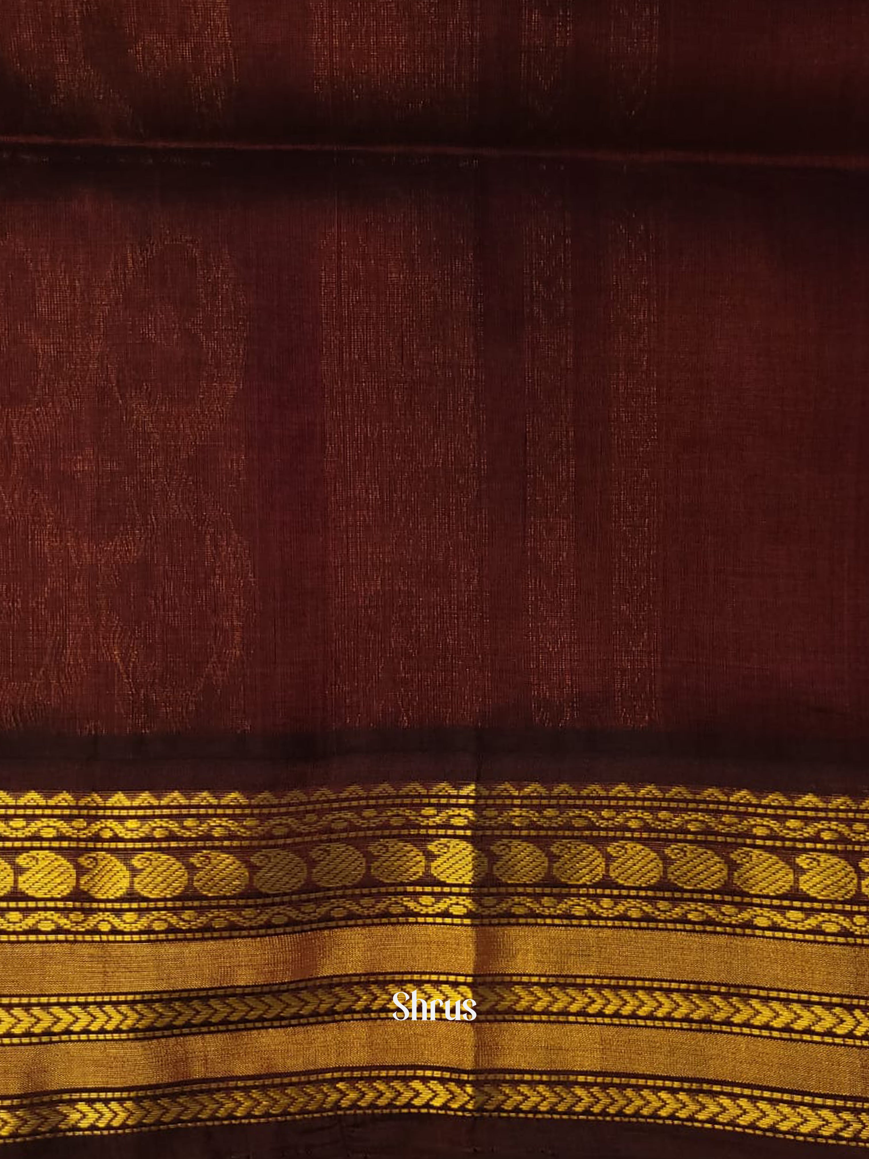 Cream & Brown - Silk Cotton Saree - Shop on ShrusEternity.com