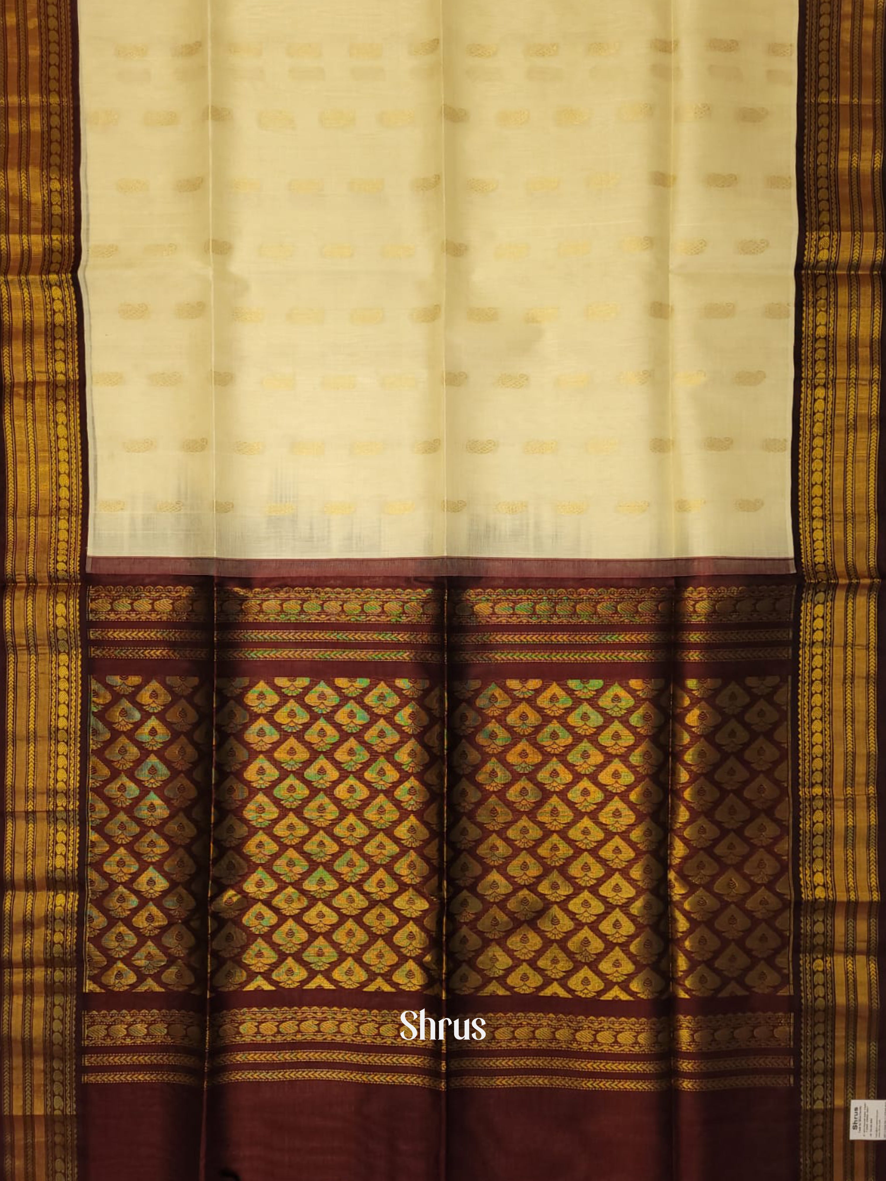 Cream & Brown - Silk Cotton Saree - Shop on ShrusEternity.com