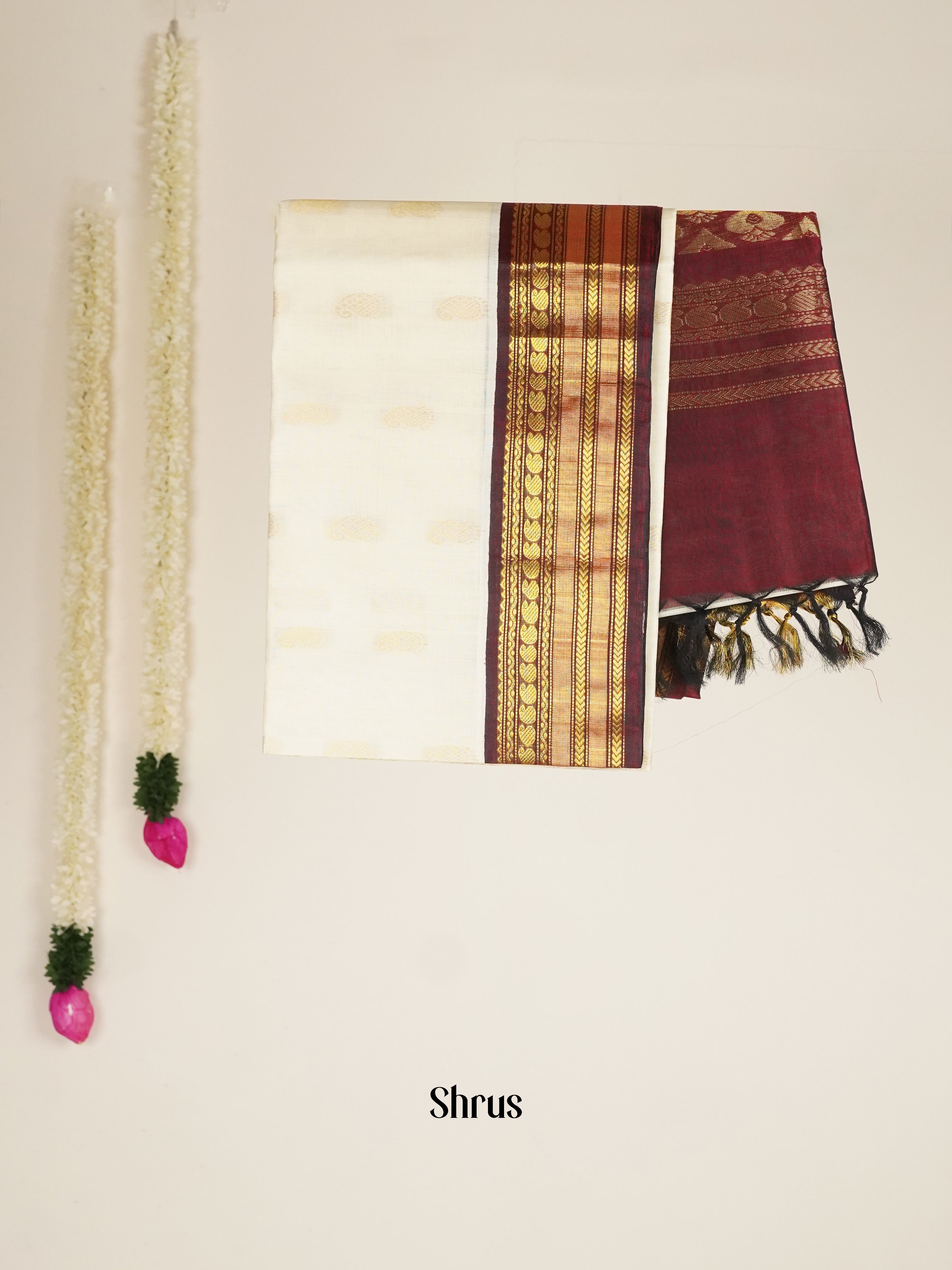Cream & Brown - Silk Cotton Saree - Shop on ShrusEternity.com