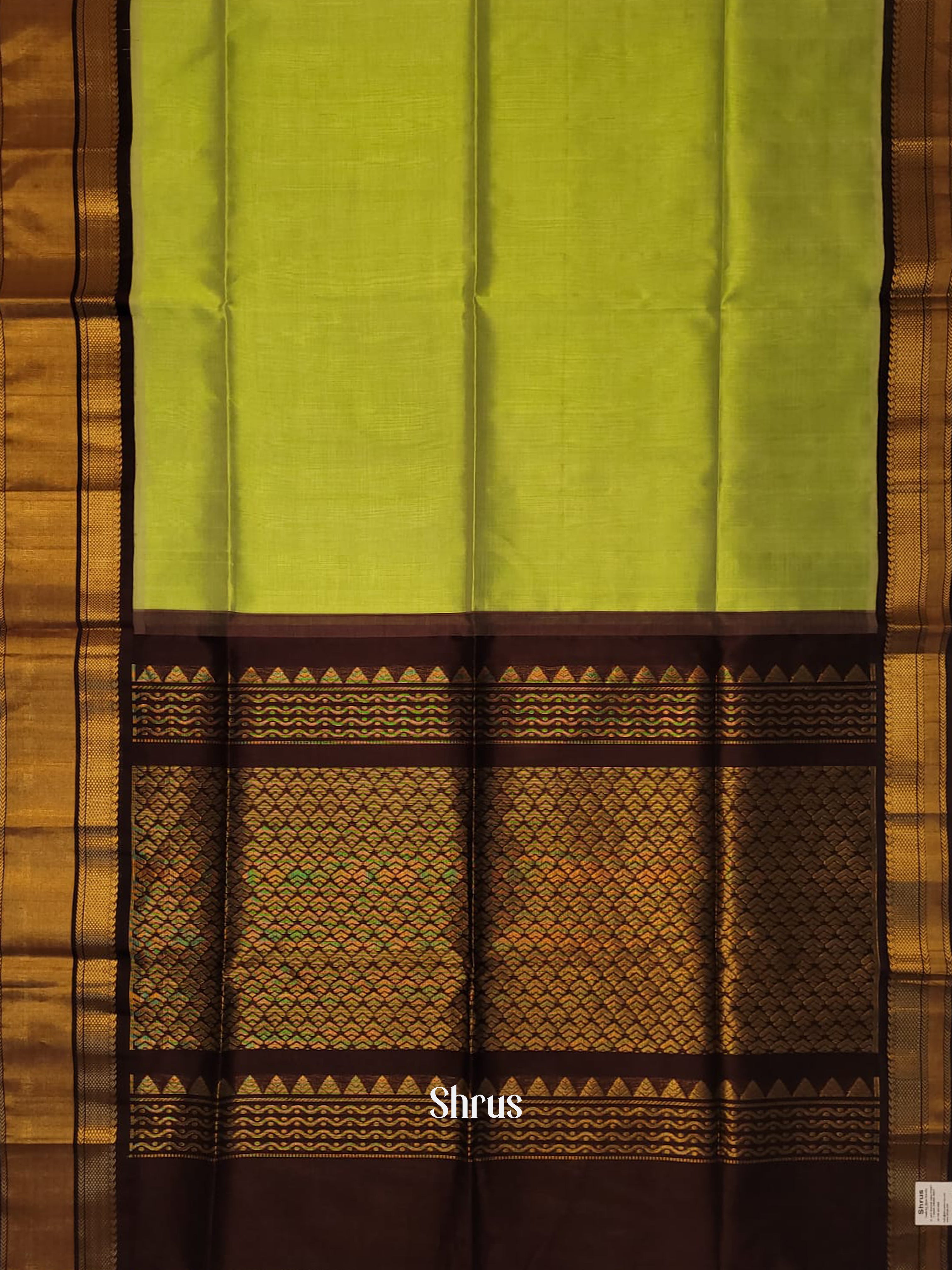 Green & Brown - Silk Cotton Saree - Shop on ShrusEternity.com