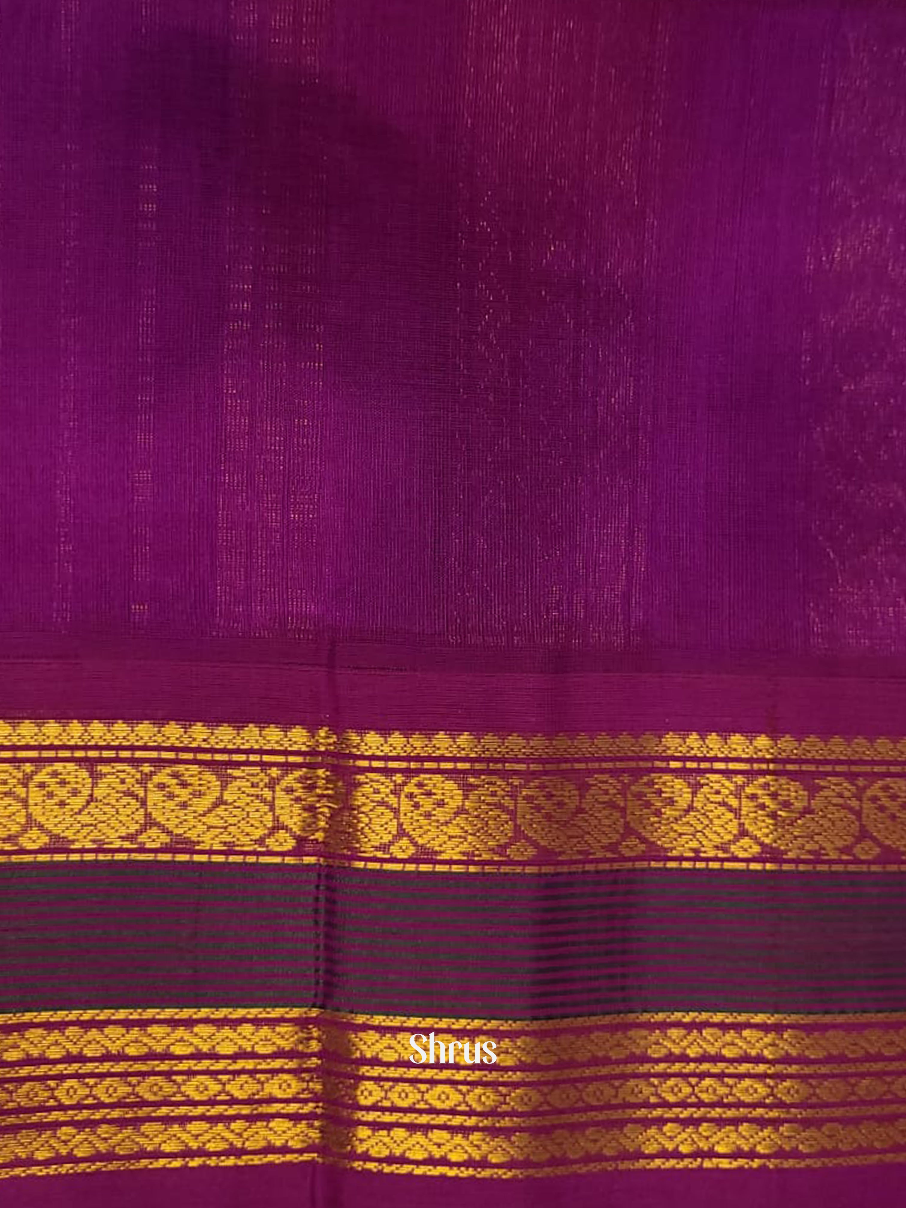 Blue & Pink - Silk Cotton Saree - Shop on ShrusEternity.com