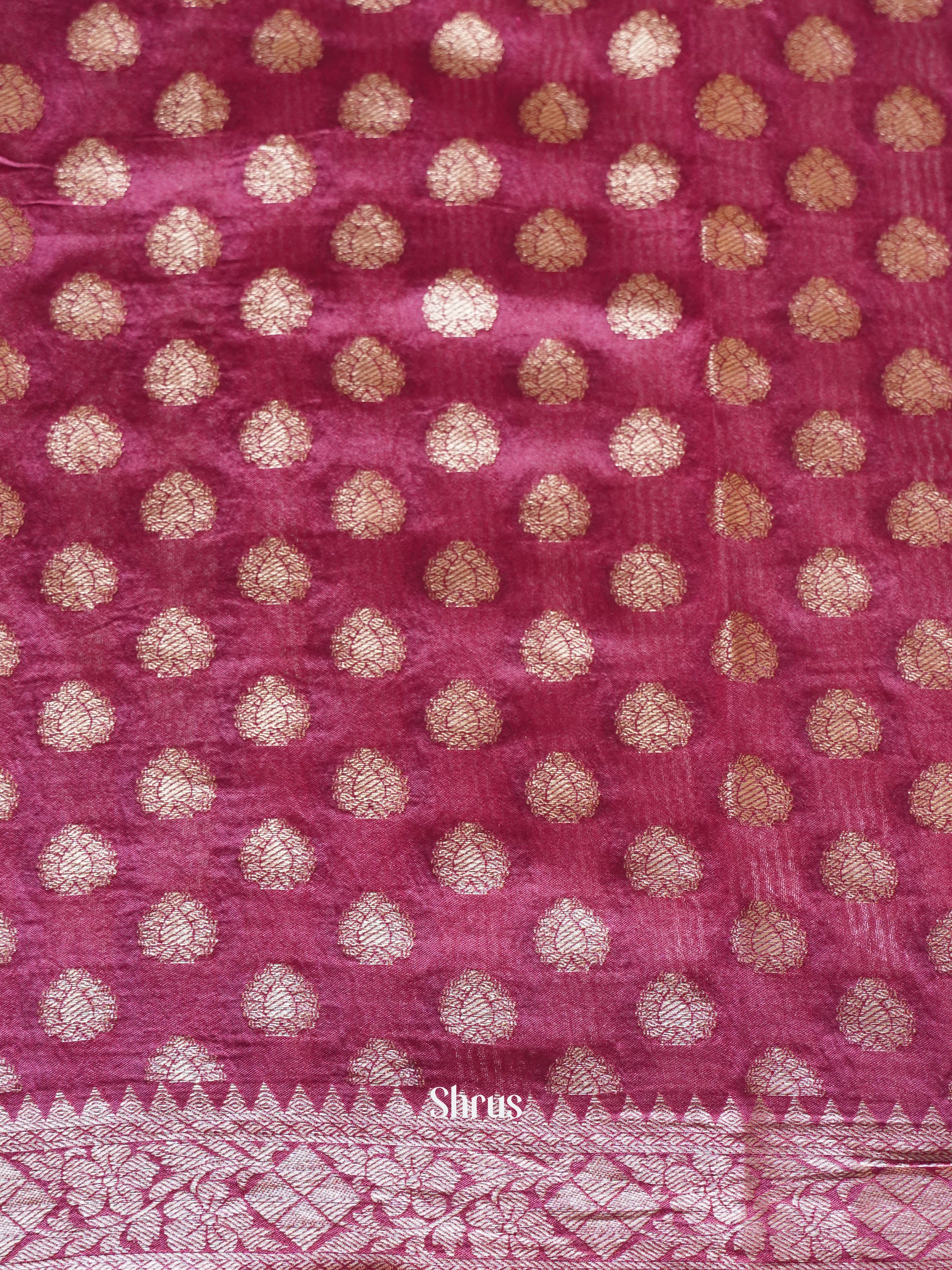 Black & Pink - Art modal Saree - Shop on ShrusEternity.com