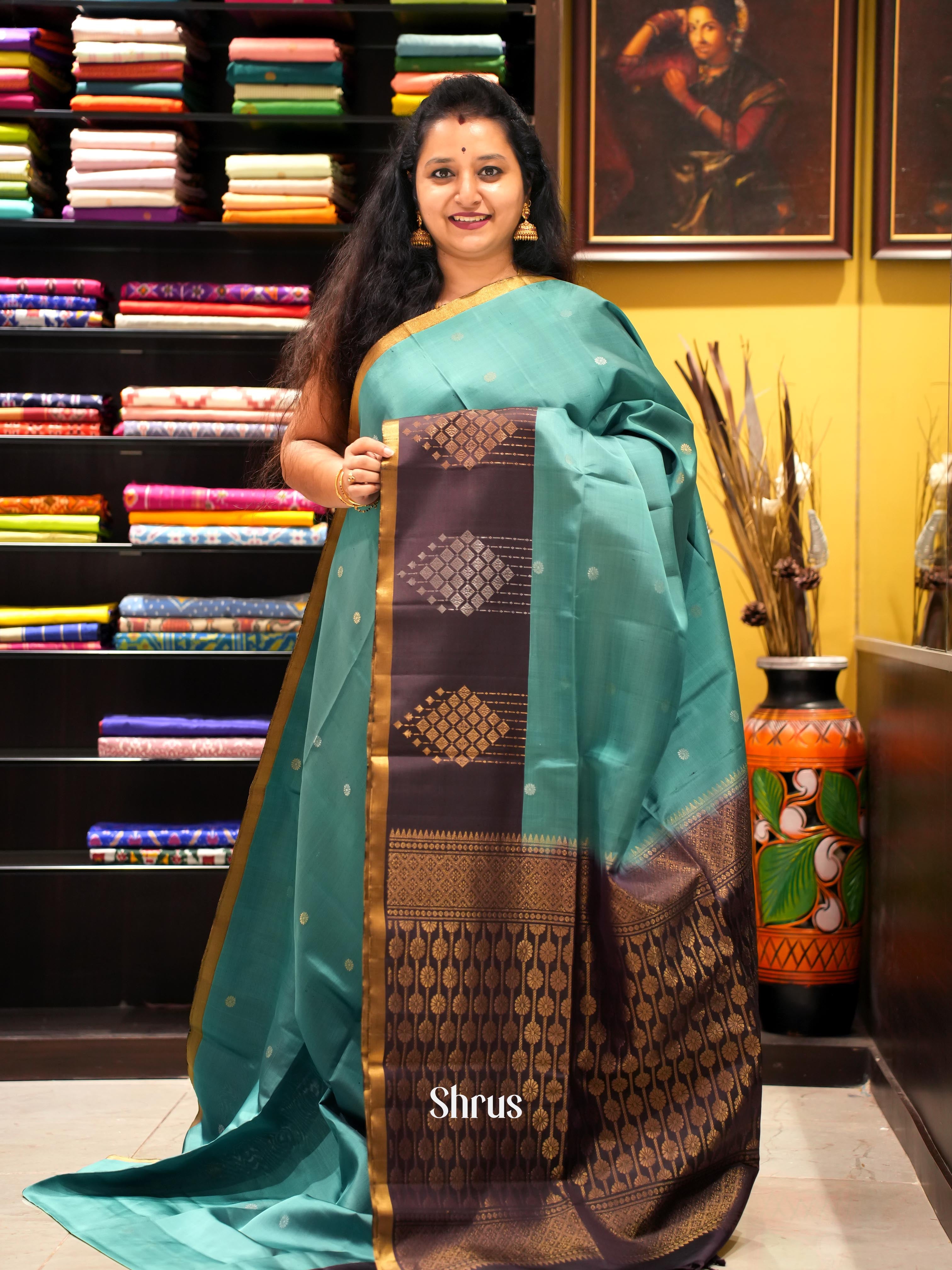 Pastel Blue & Brown - Soft Silk Saree - Shop on ShrusEternity.com