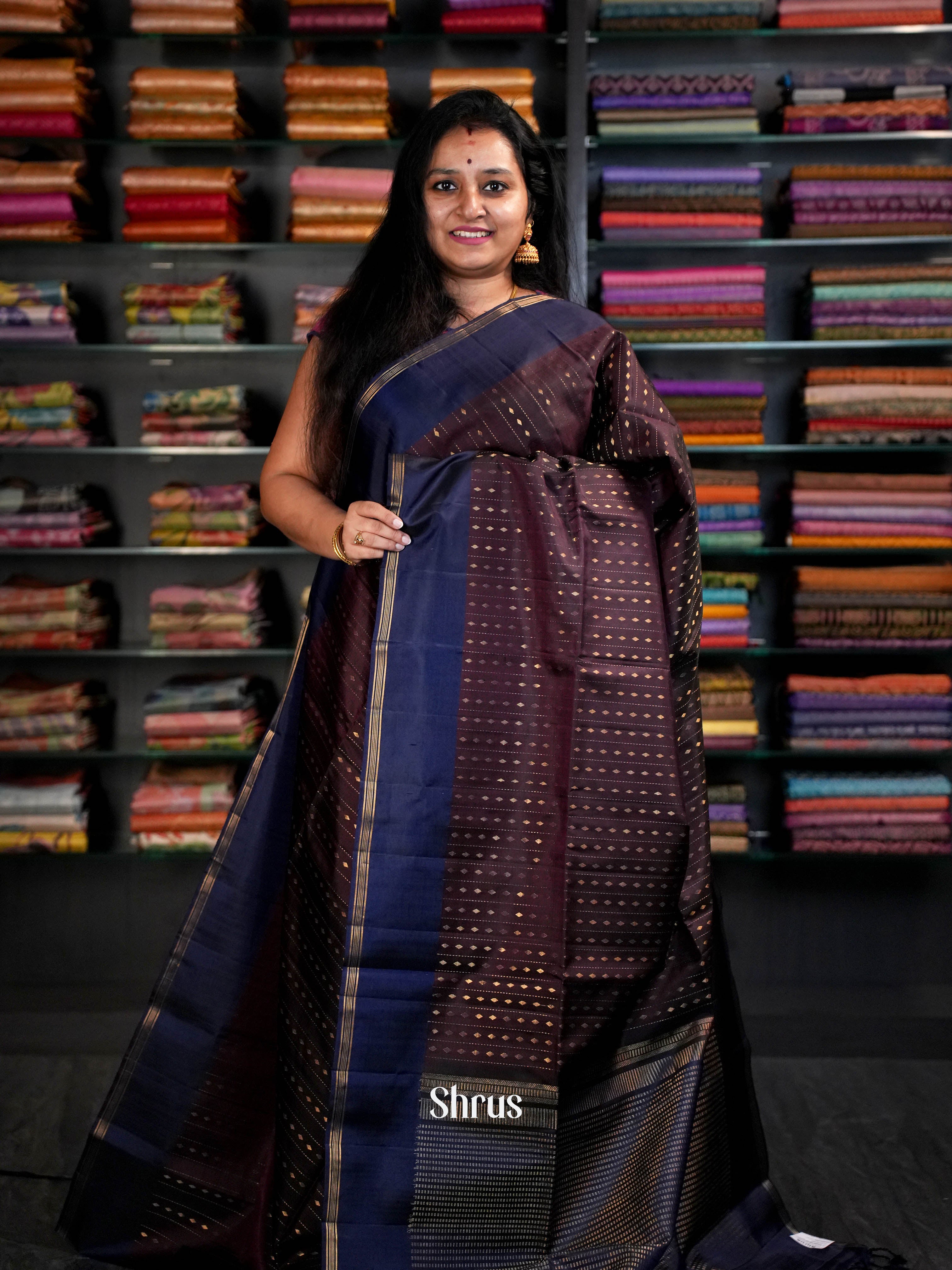Dark Brown & Deep Indigo - Soft Silk Saree - Shop on ShrusEternity.com