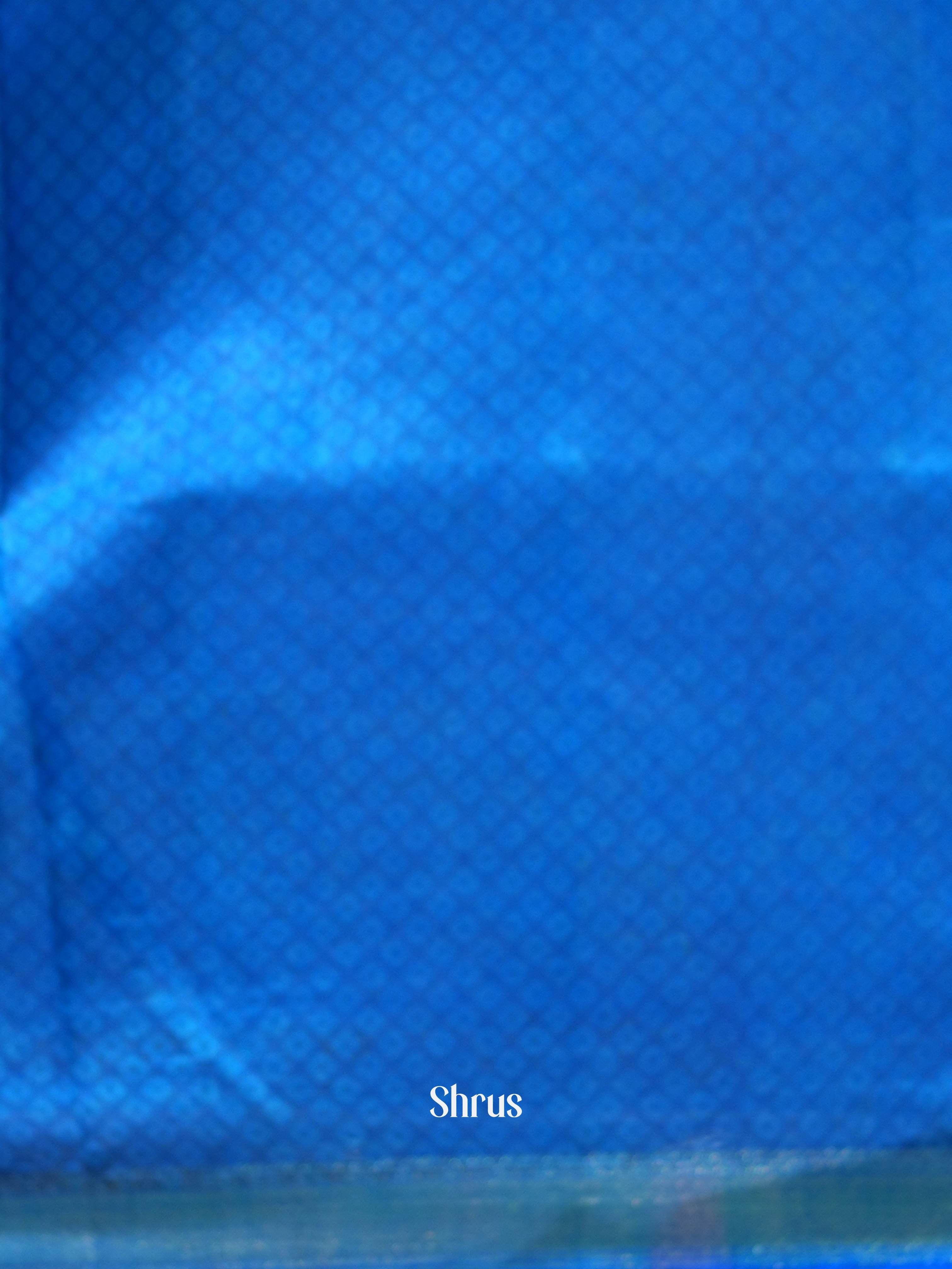 Blue - Semi patola Saree - Shop on ShrusEternity.com