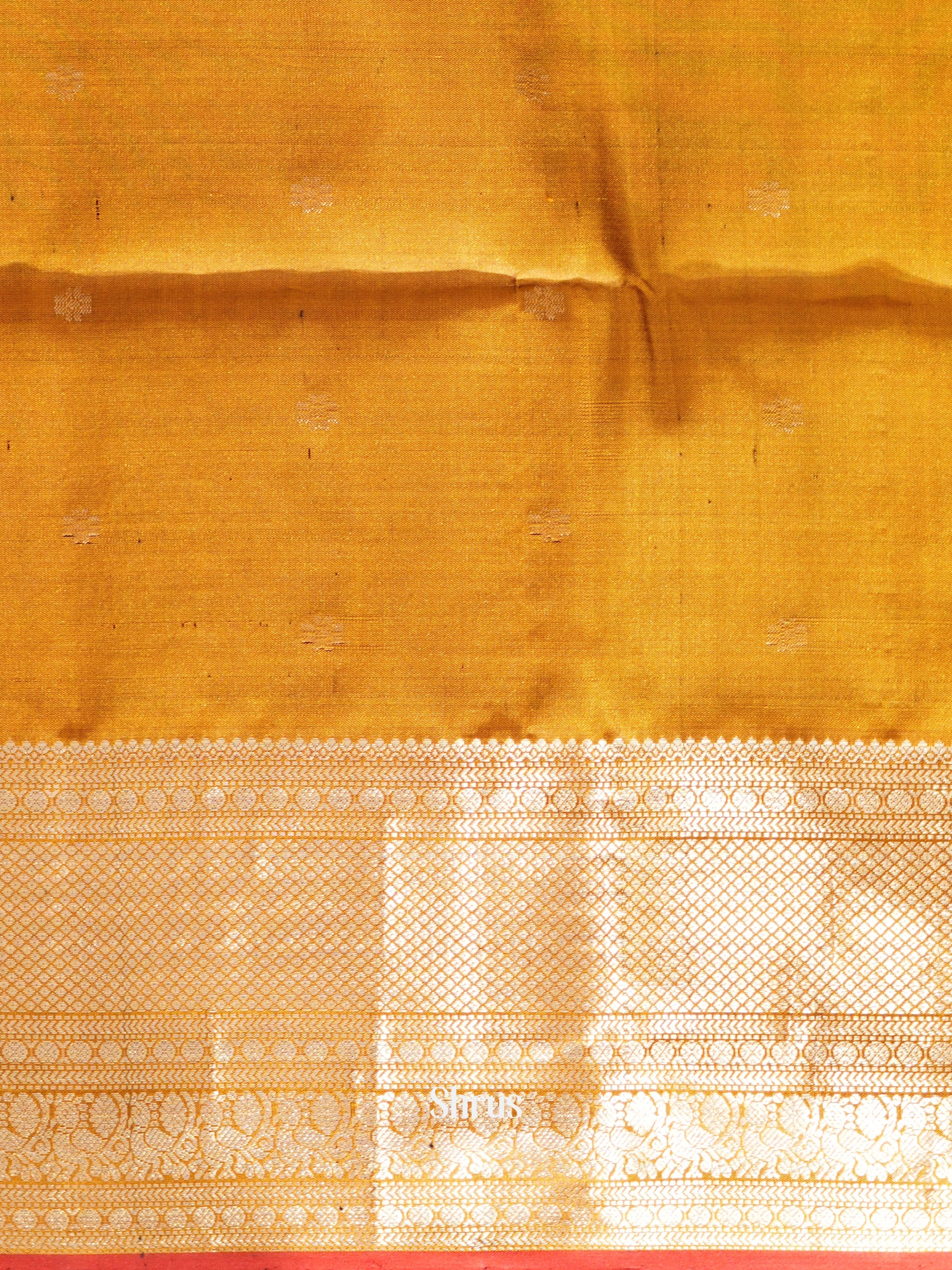 Black & Mustard - Kanchi Border Soft Silk Saree-2