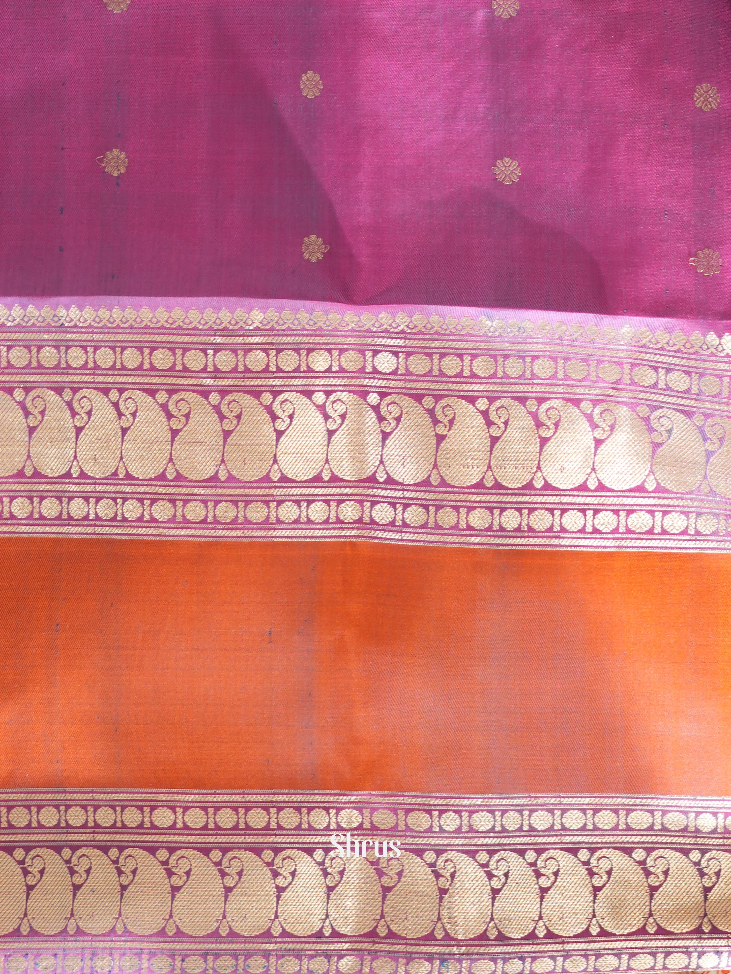 Peacock Green & Purple - Kanchi Border Soft Silk Saree - Shop on ShrusEternity.com