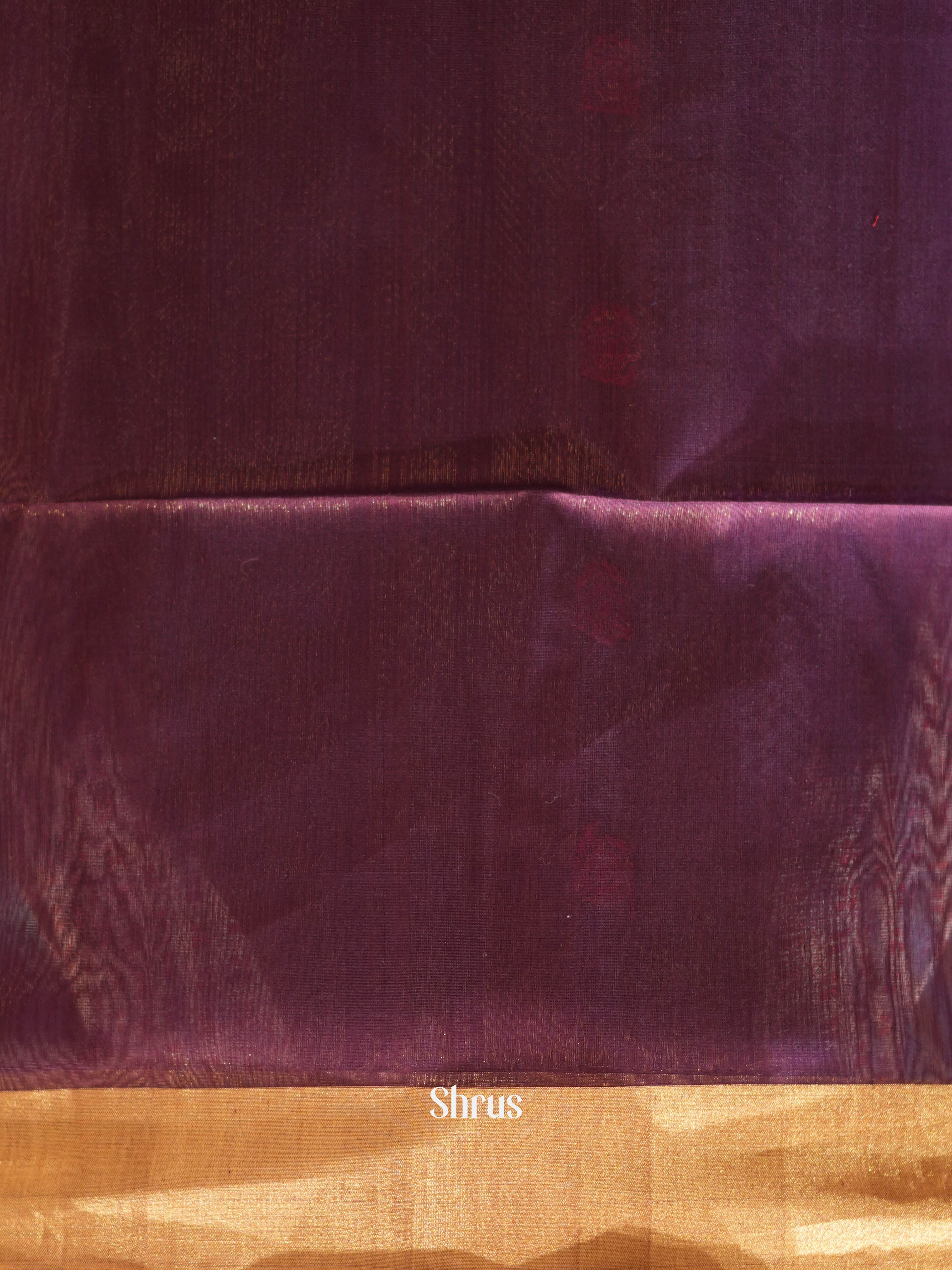 Violet - Silk Cotton Saree - Shop on ShrusEternity.com