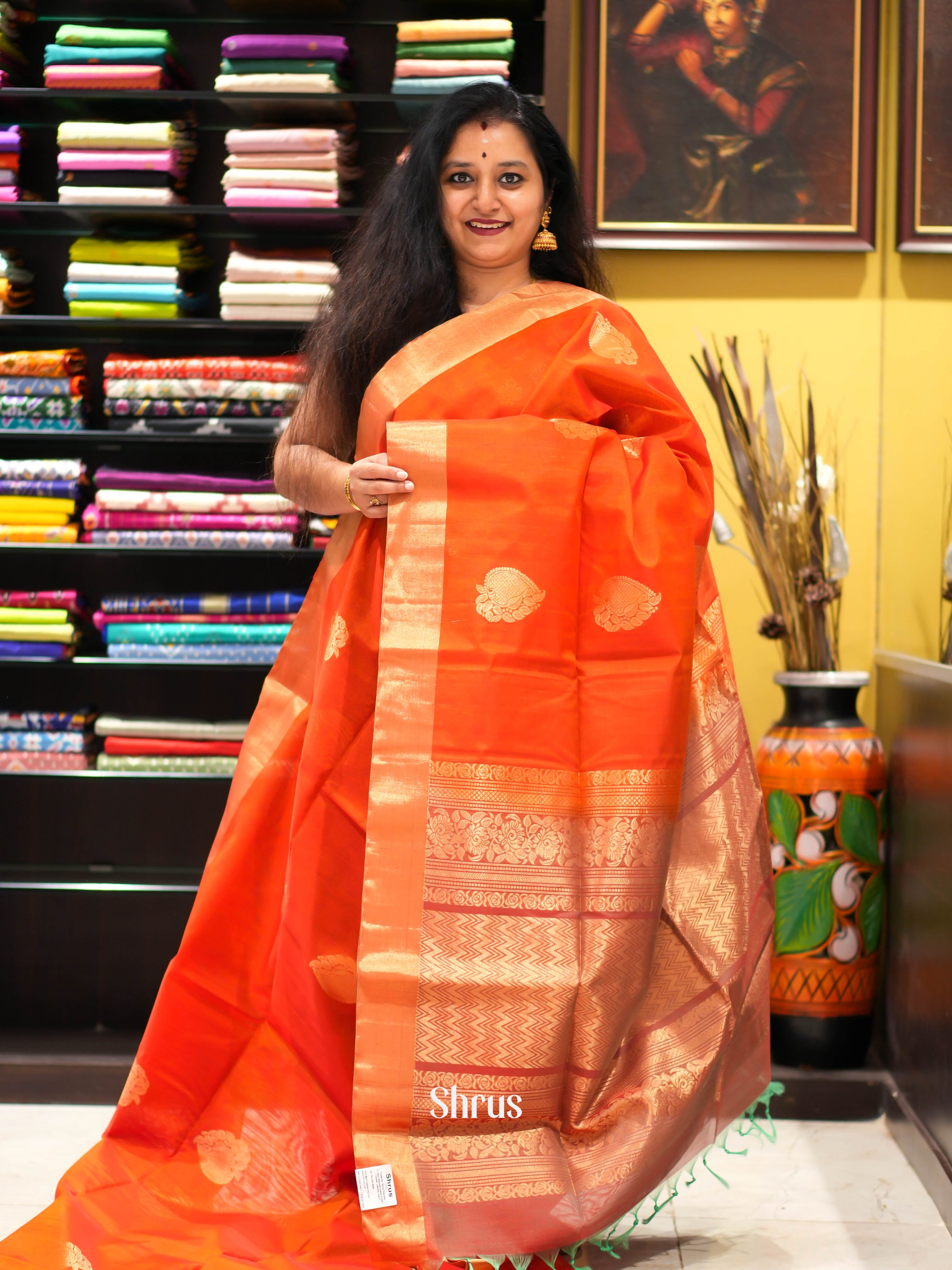 CHS09365 - Silk Cotton Saree - Shop on ShrusEternity.com