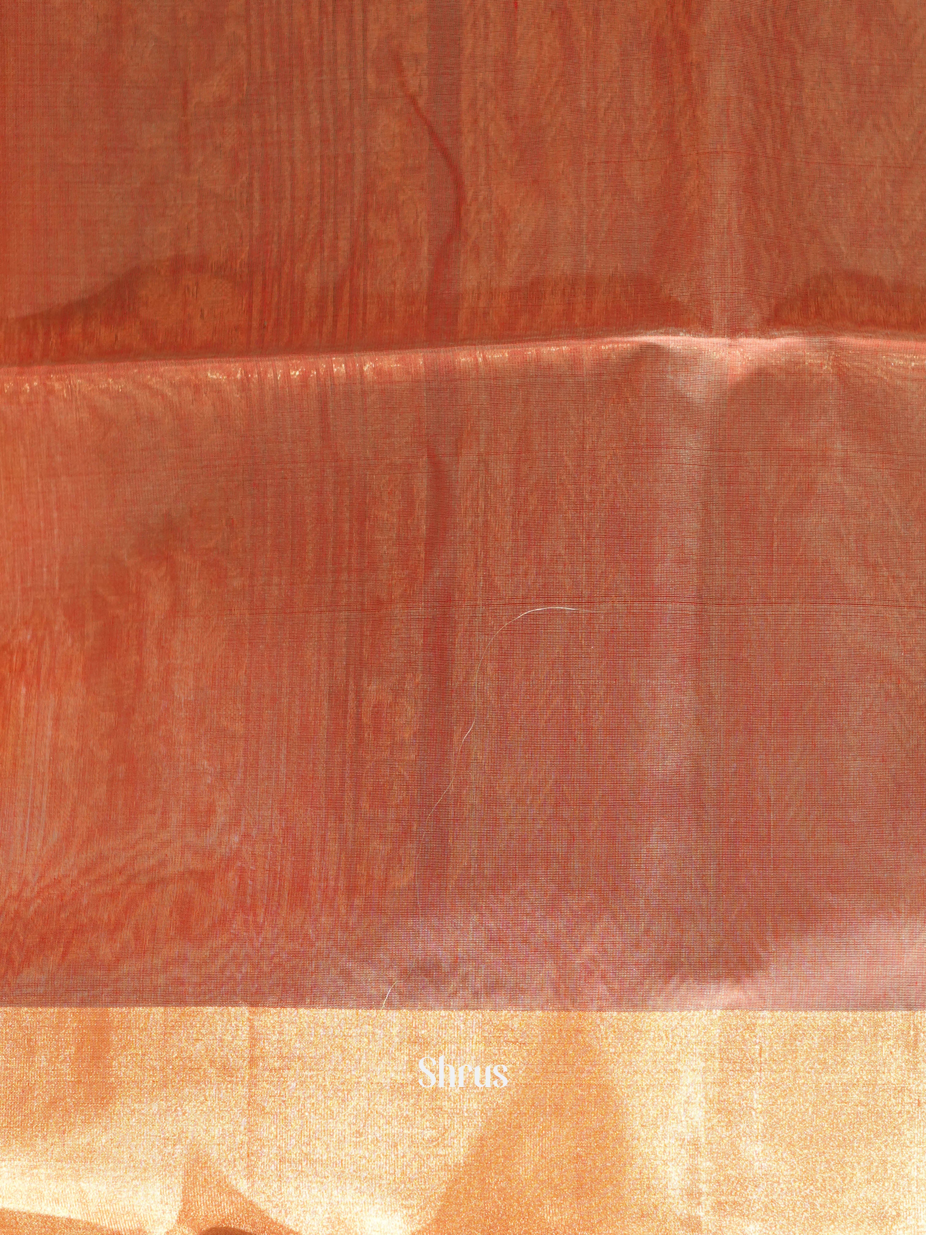 CHS09365 - Silk Cotton Saree - Shop on ShrusEternity.com