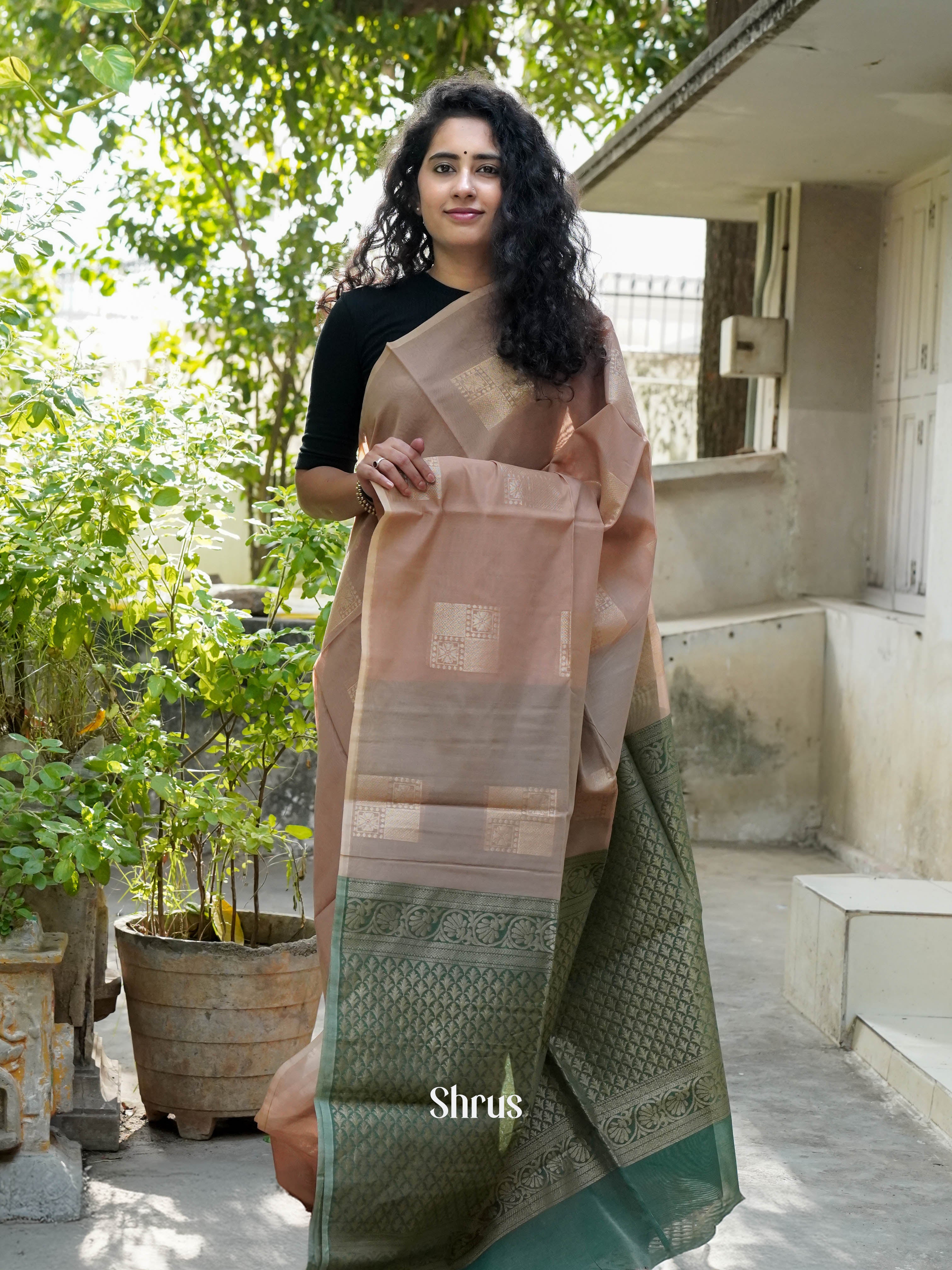 Soft Brown & Green - Semi Silkcotton Saree - Shop on ShrusEternity.com