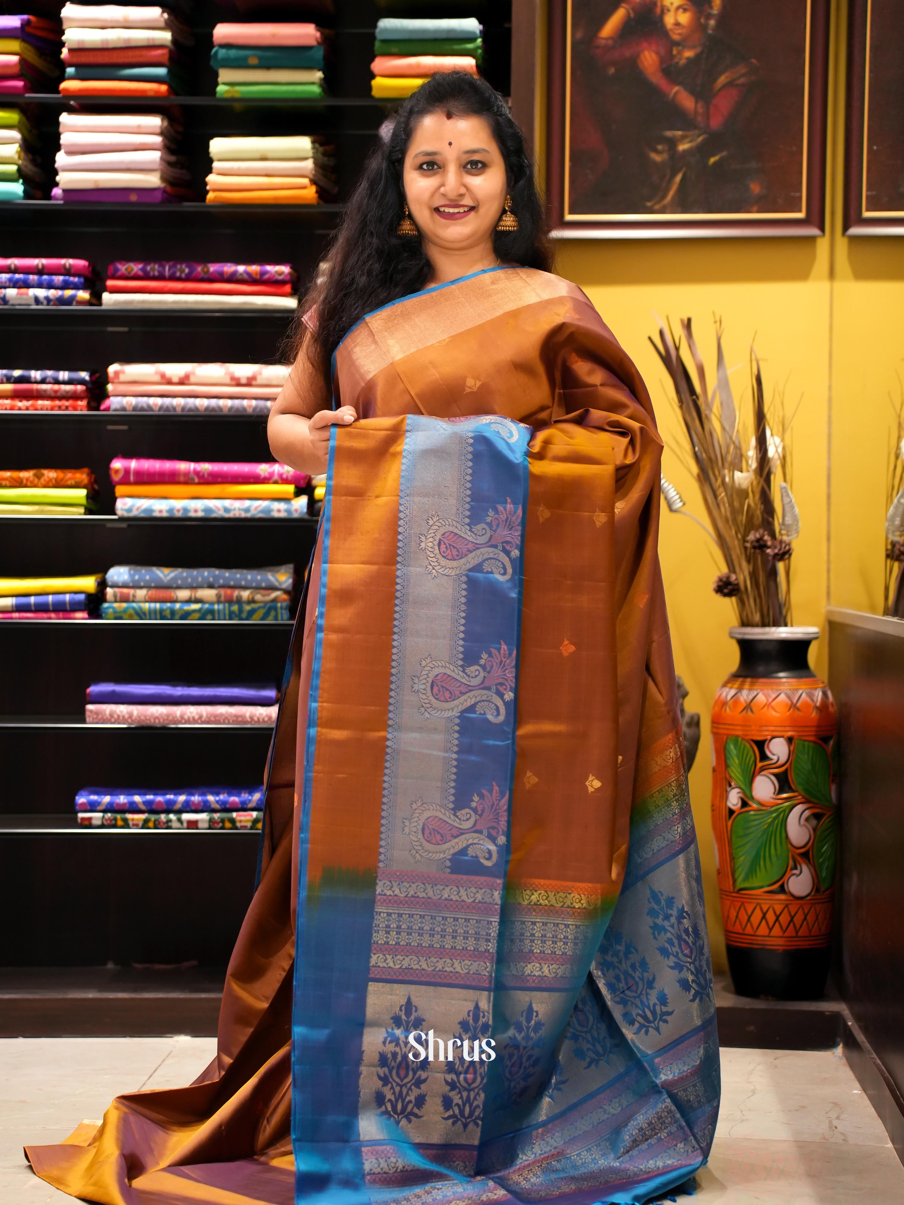 Brown & Blue - Soft Silk Saree - Shop on ShrusEternity.com