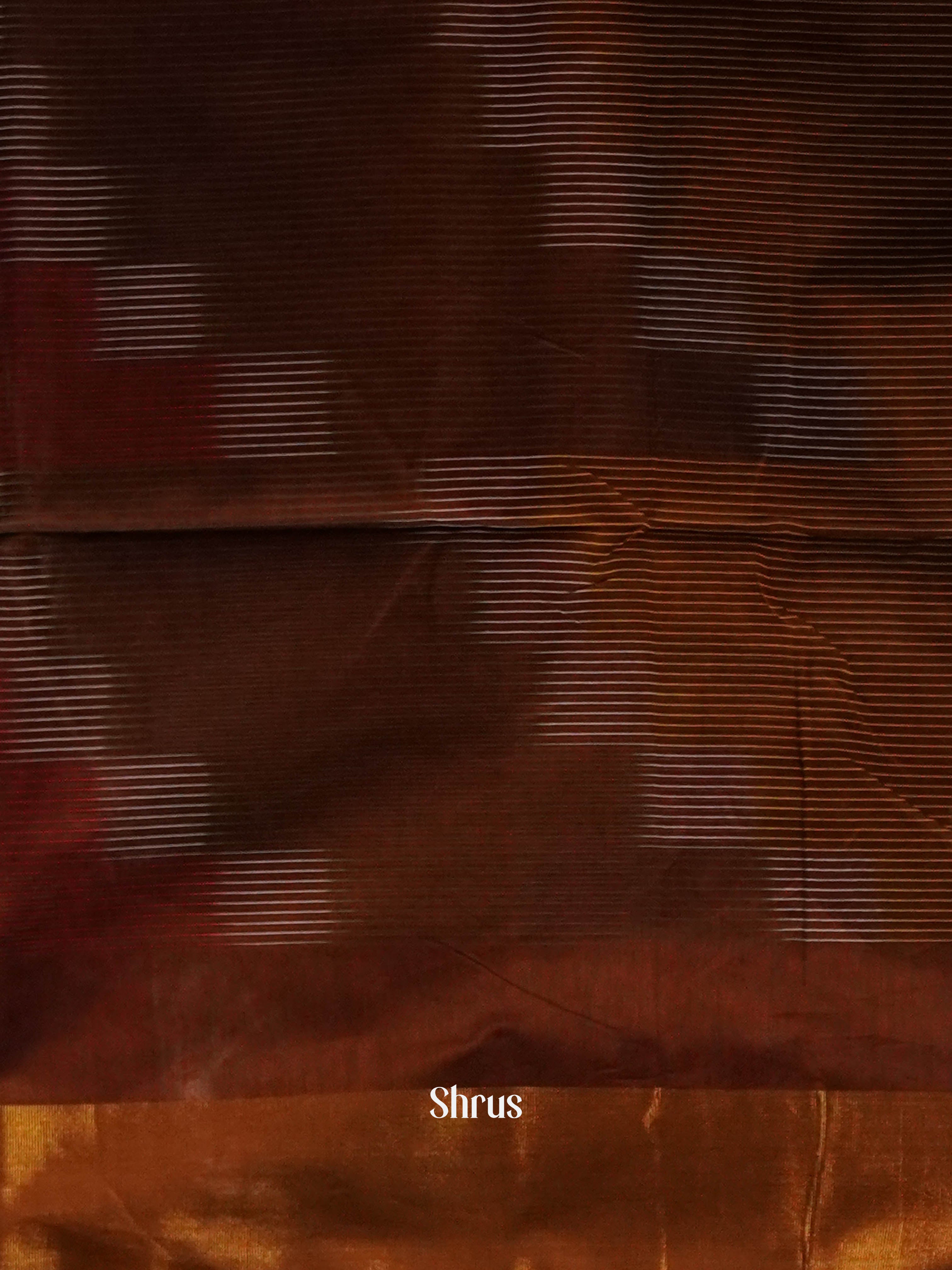 Brown - Ikkat Kora Saree - Shop on ShrusEternity.com