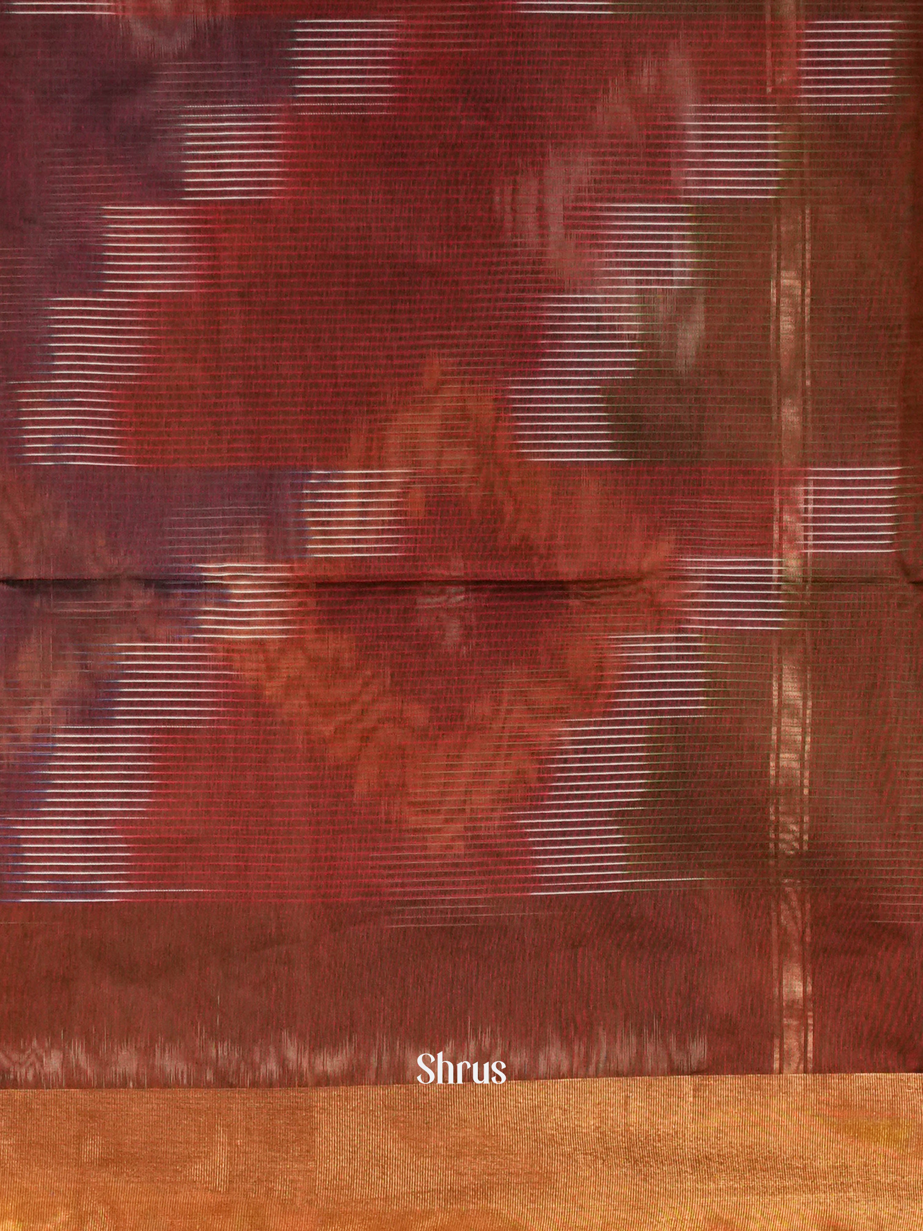 Brown - Ikkat Kora Saree - Shop on ShrusEternity.com