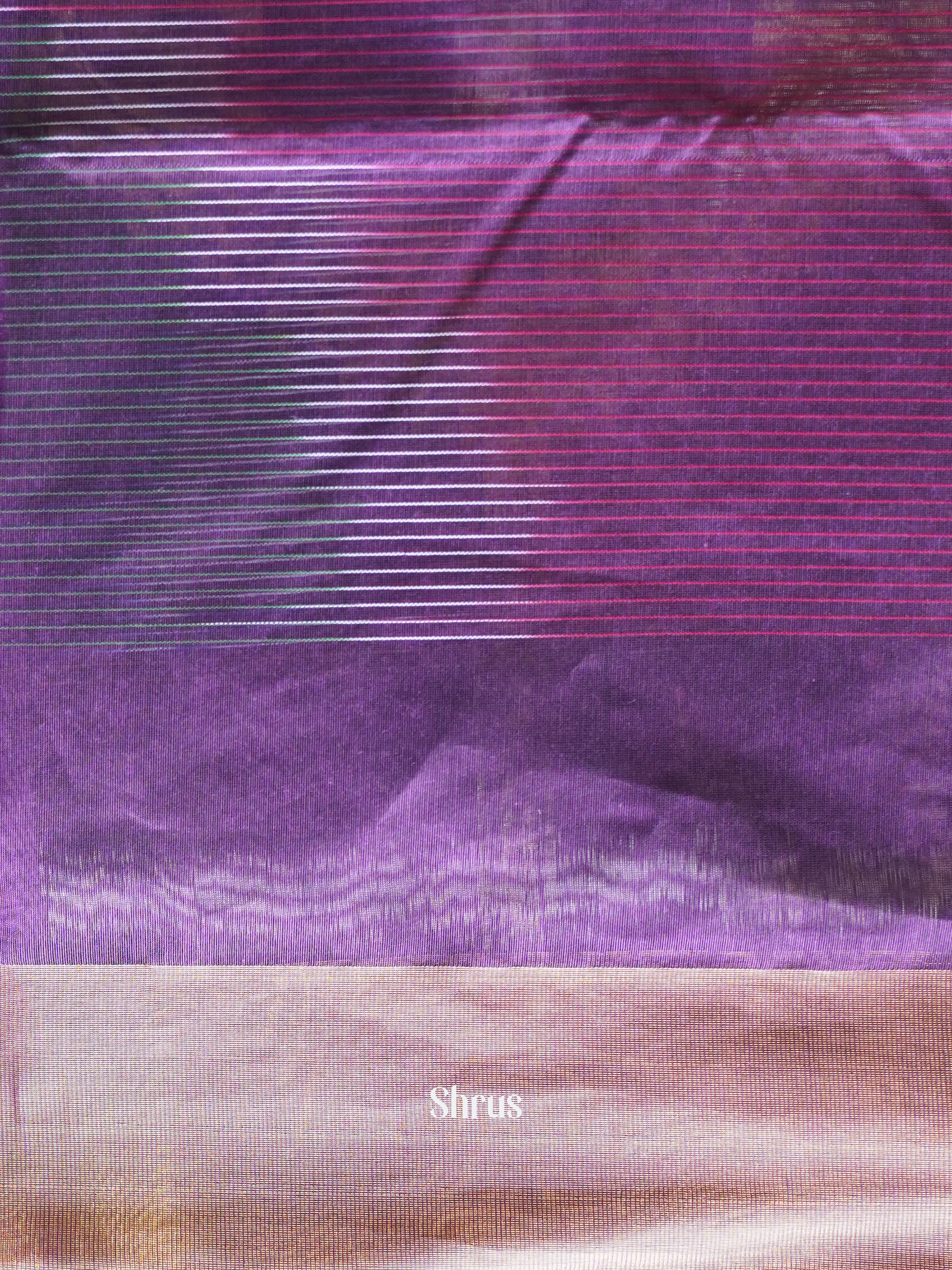 Purple - Ikkat Kora Saree - Shop on ShrusEternity.com