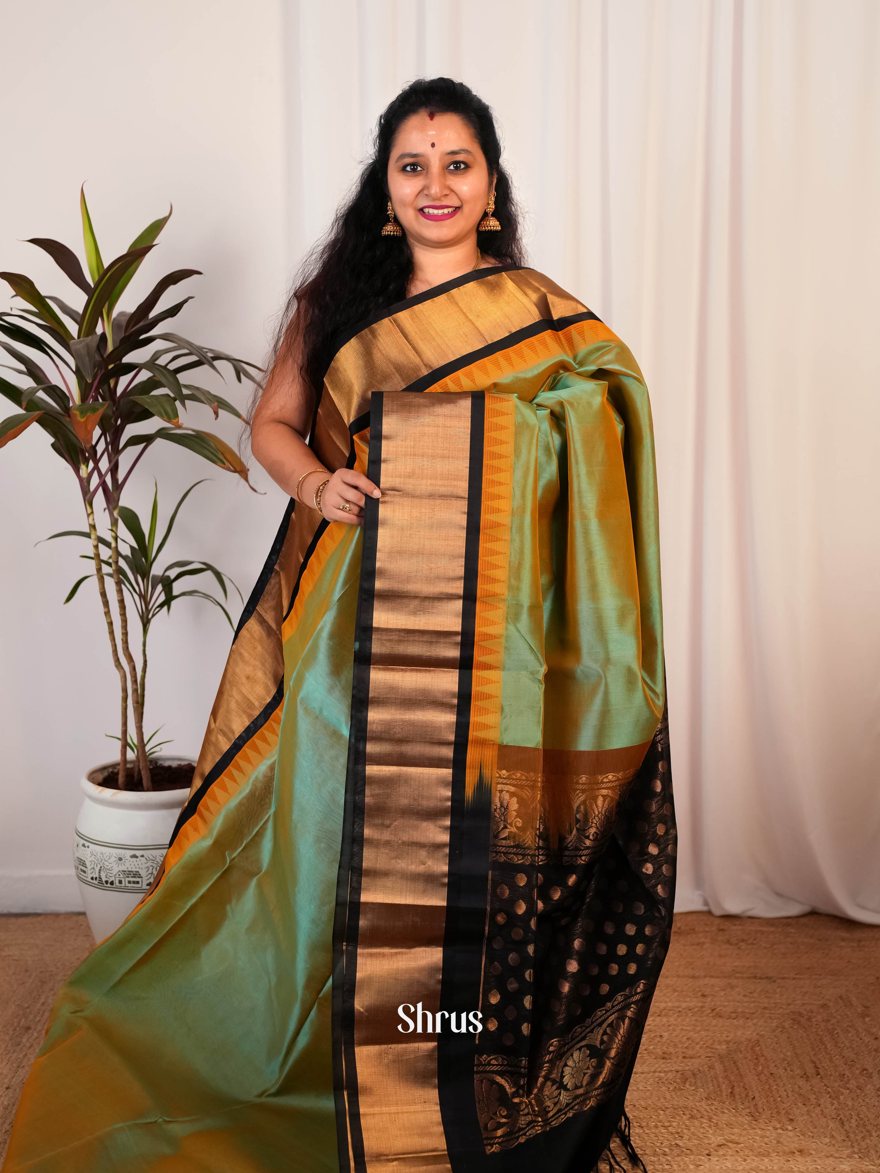 Double shaded Green & Black -Silk Cotton Saree - Shop on ShrusEternity.com