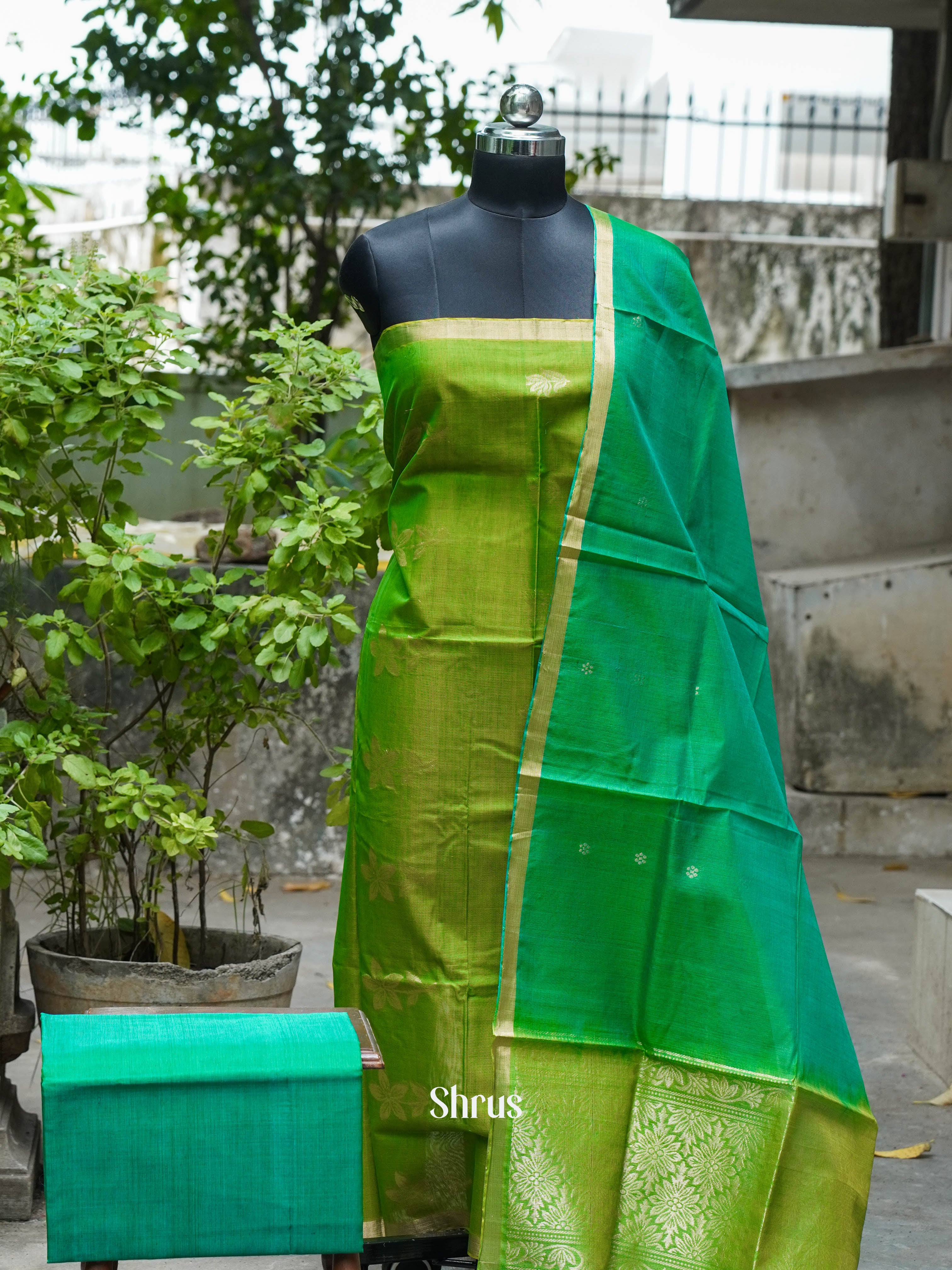 Parrot Green & Bluish Green - Silkcotton salwar - Shop on ShrusEternity.com