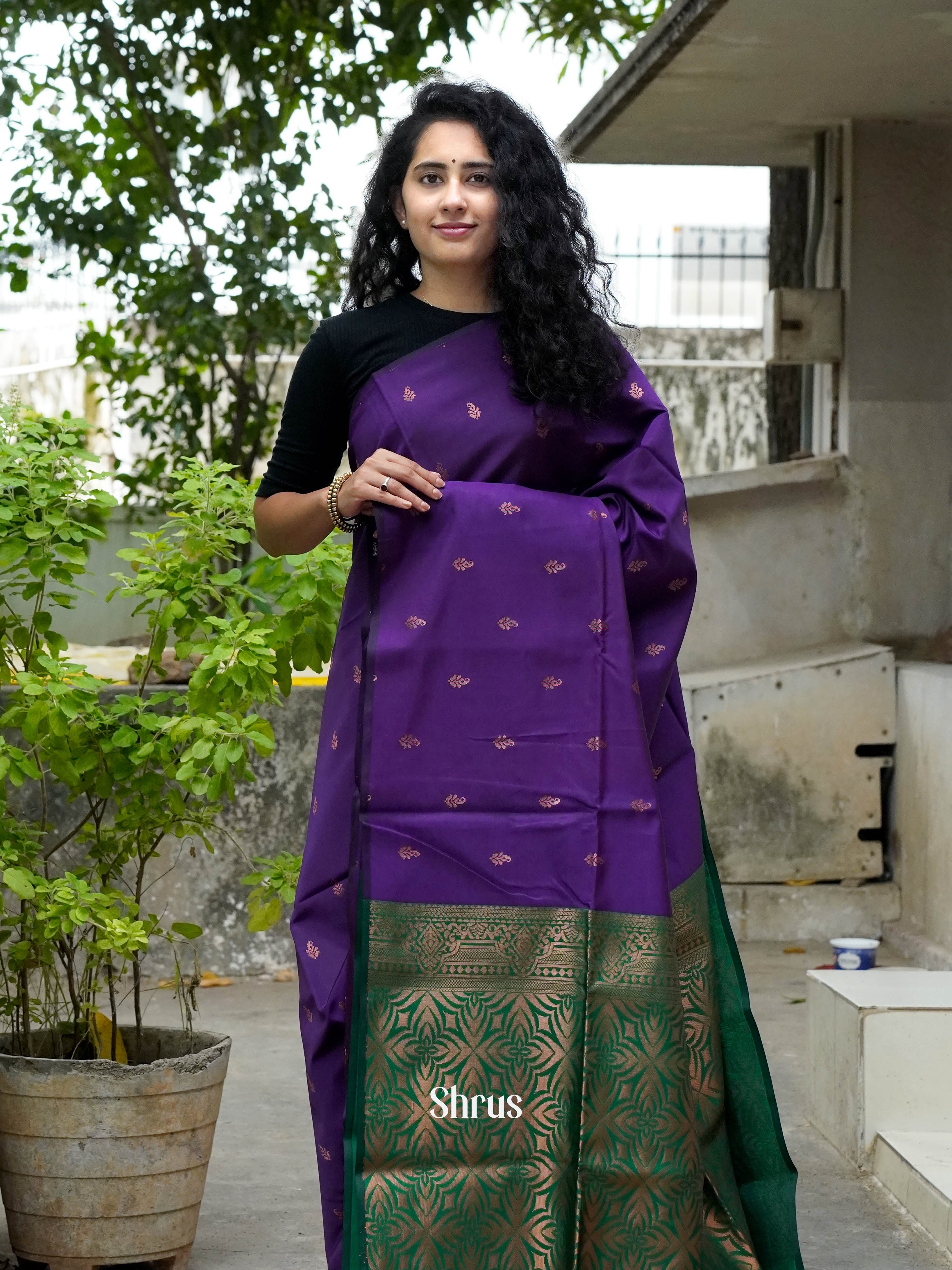 CHS14409 - Semi Softsilk Saree - Shop on ShrusEternity.com
