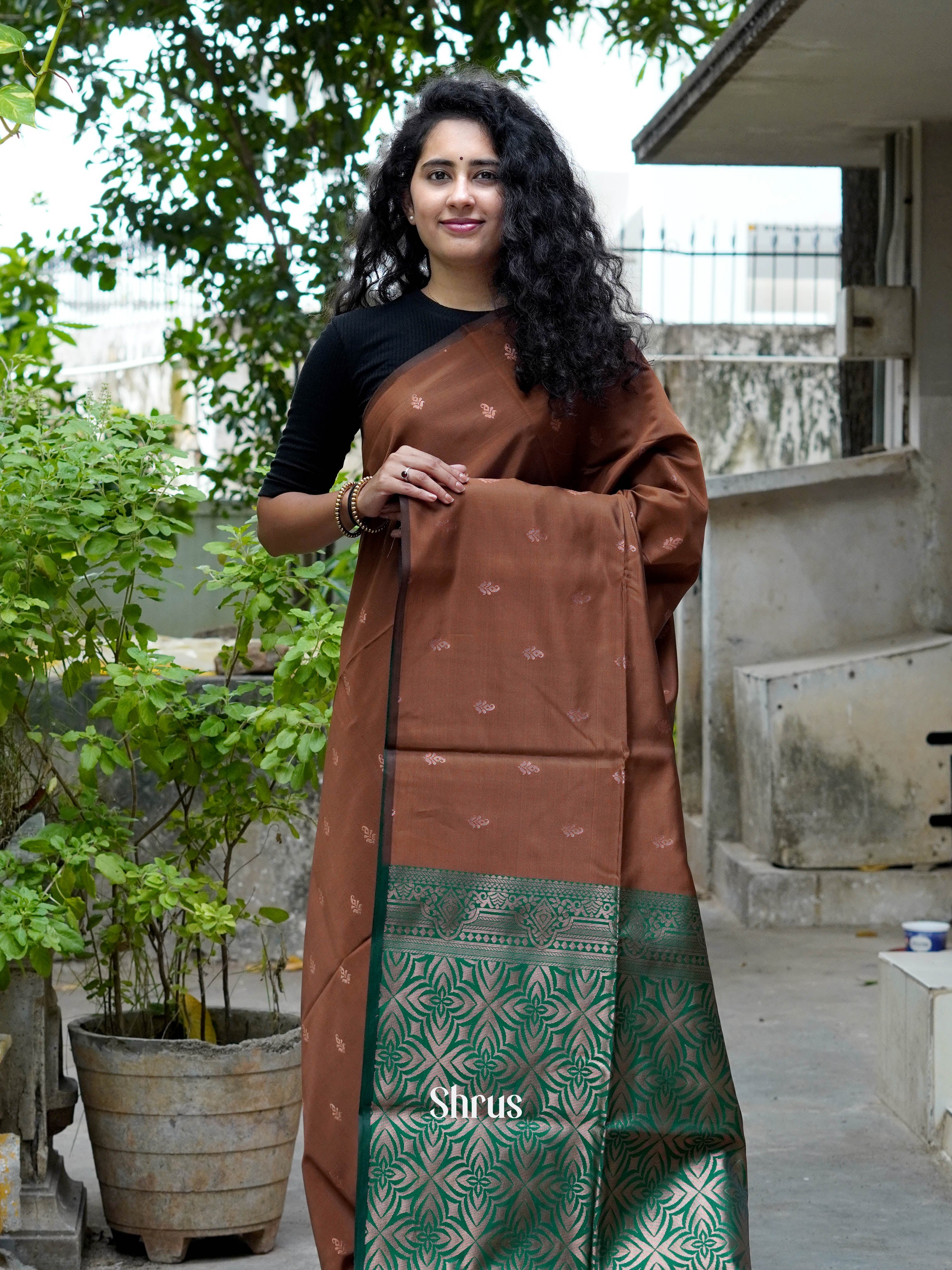 CHS14410 - Semi Softsilk Saree - Shop on ShrusEternity.com