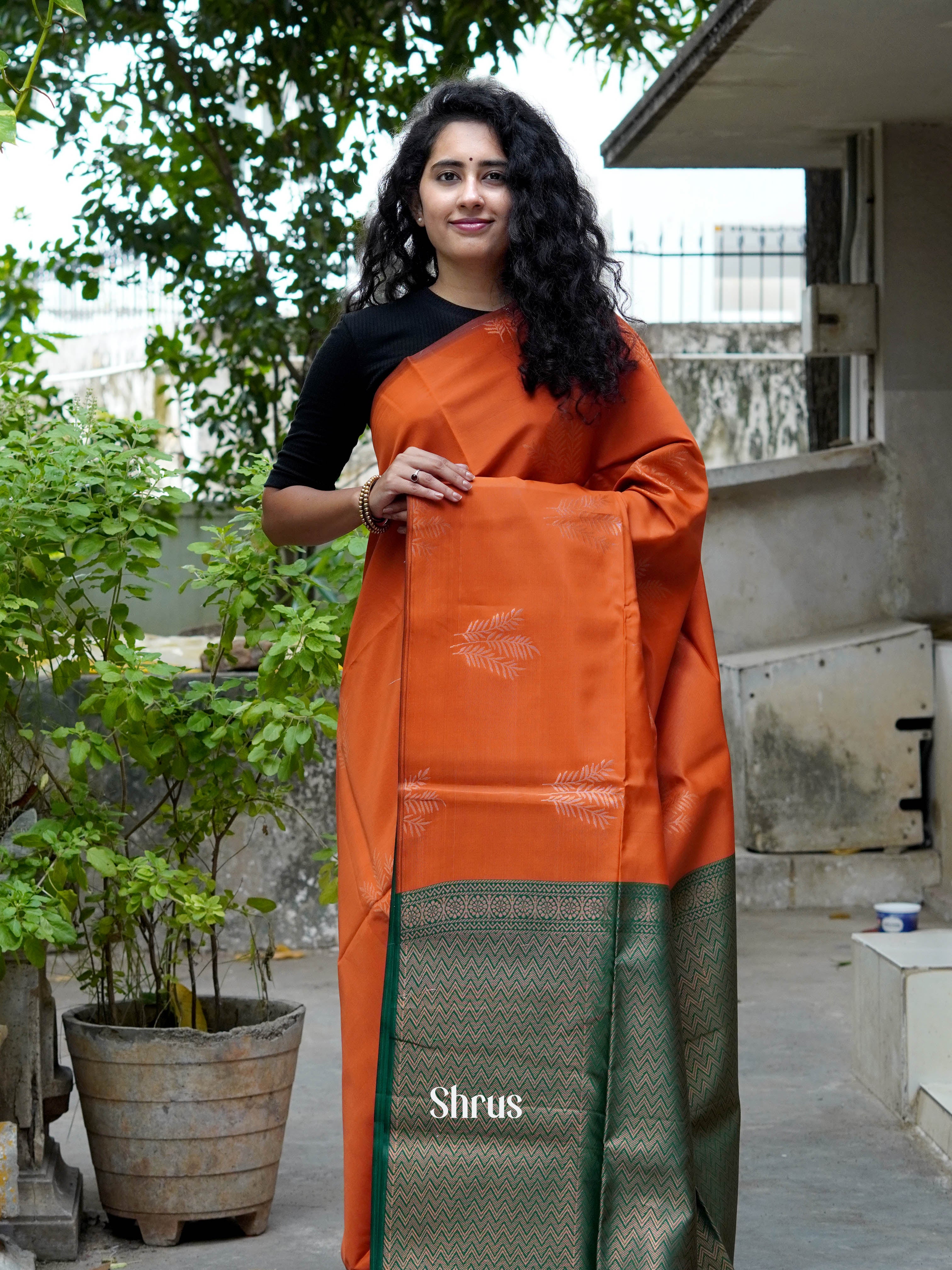 CHS14412 - Semi Softsilk Saree - Shop on ShrusEternity.com
