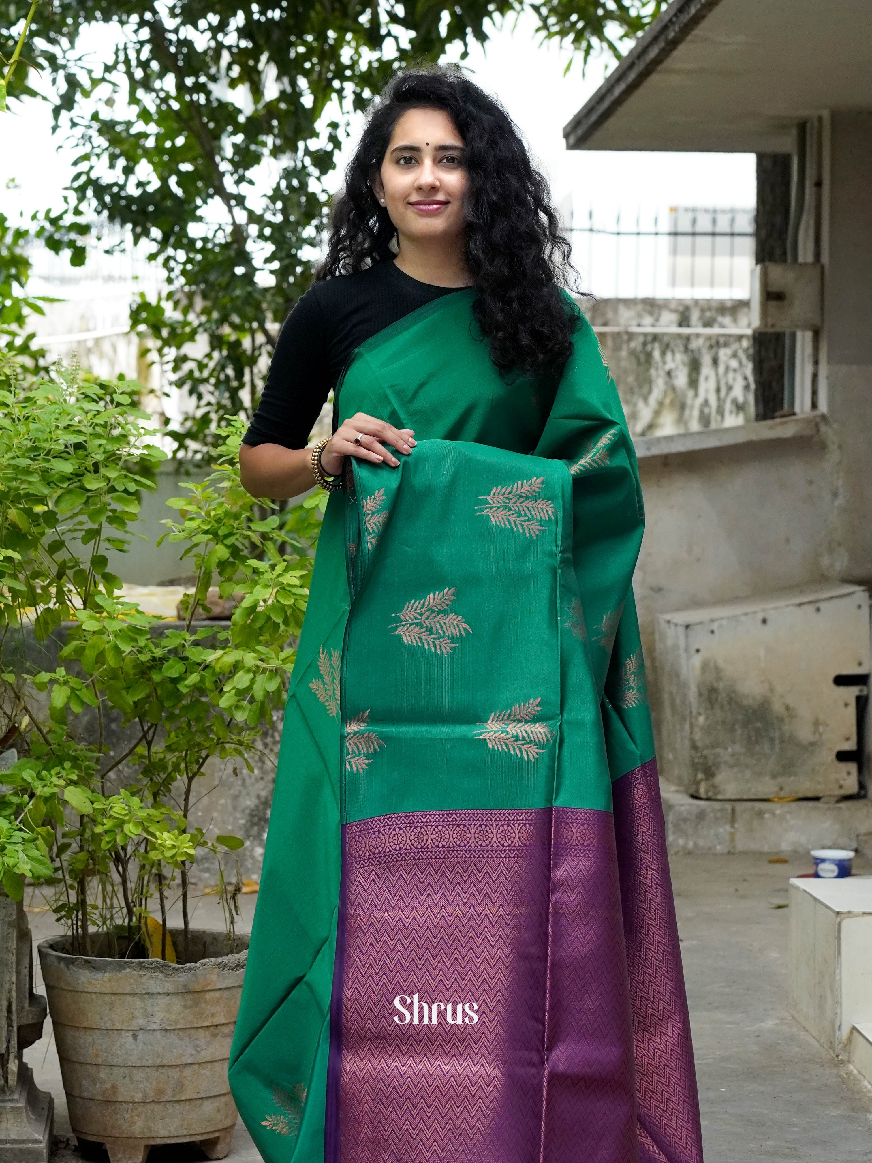 CHS14413 - Semi Softsilk Saree - Shop on ShrusEternity.com