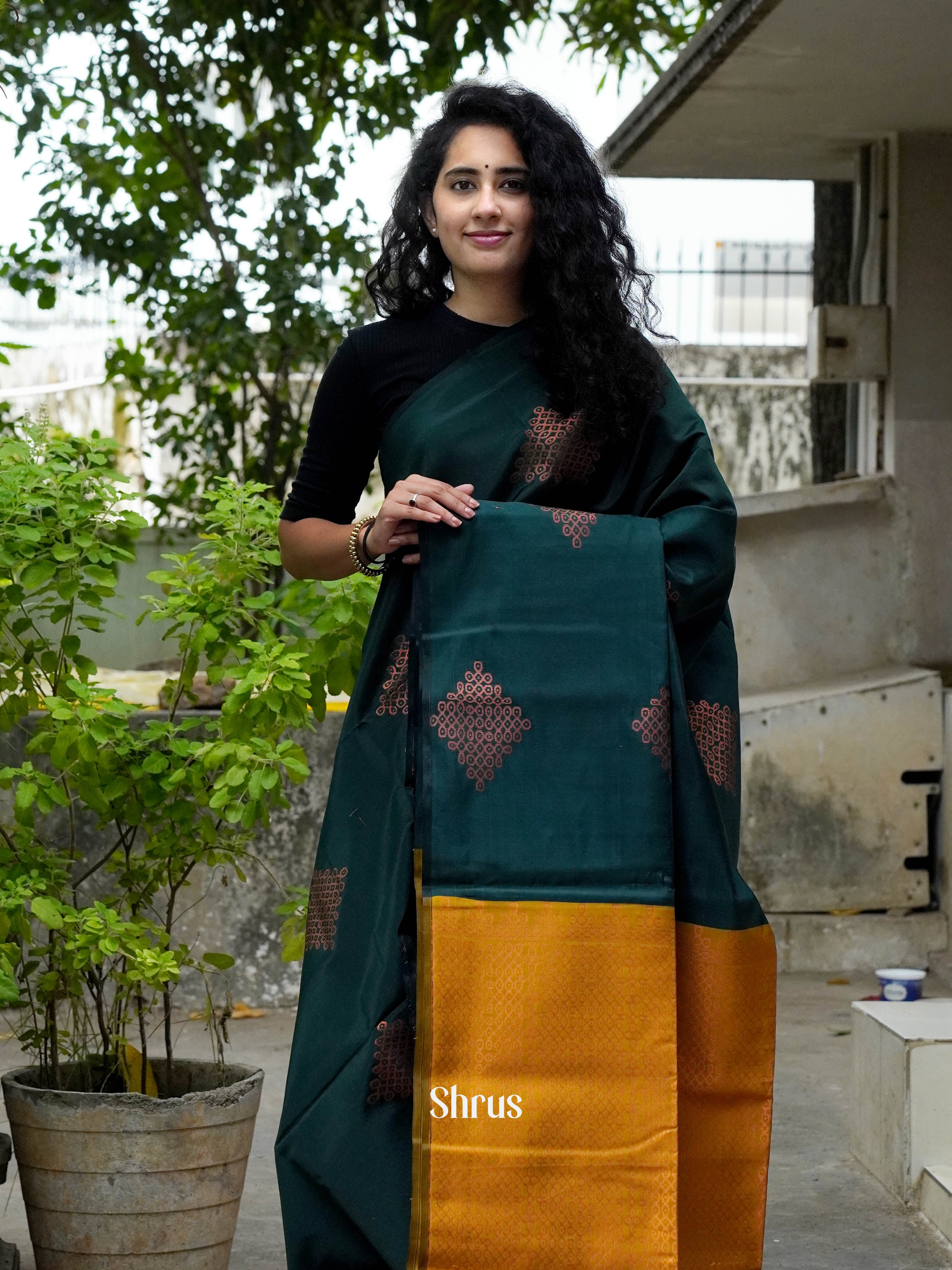 CHS14415 - Semi Softsilk Saree - Shop on ShrusEternity.com