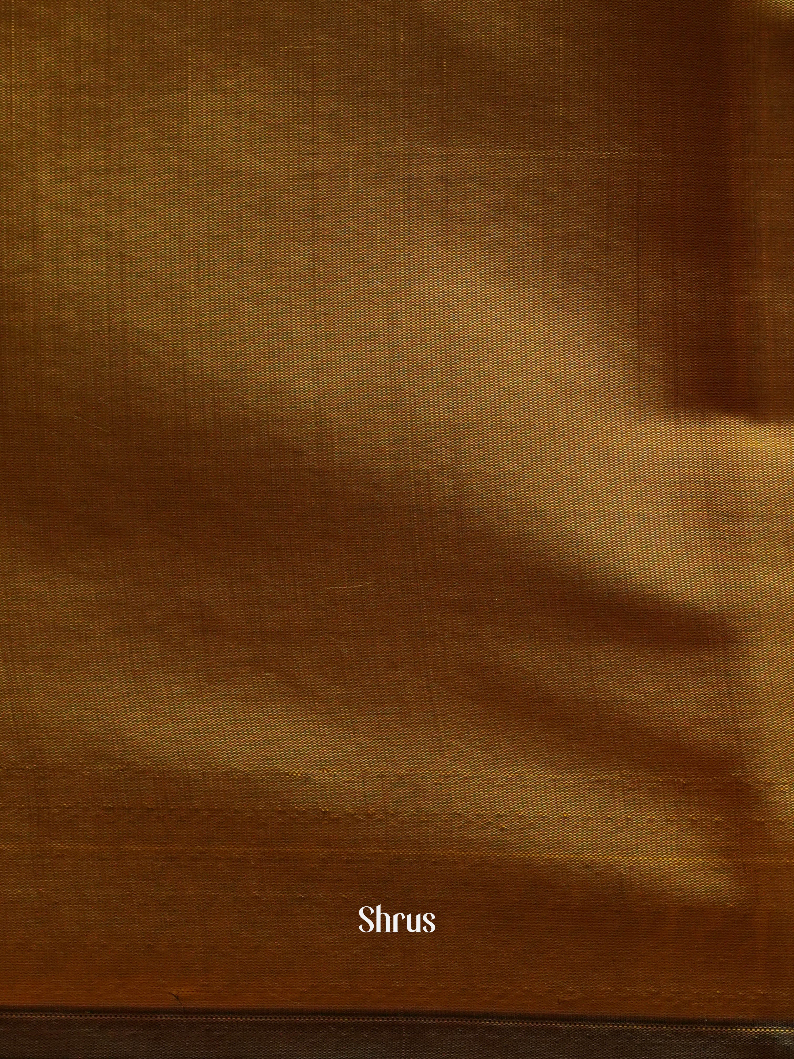 CHS14415 - Semi Softsilk Saree - Shop on ShrusEternity.com