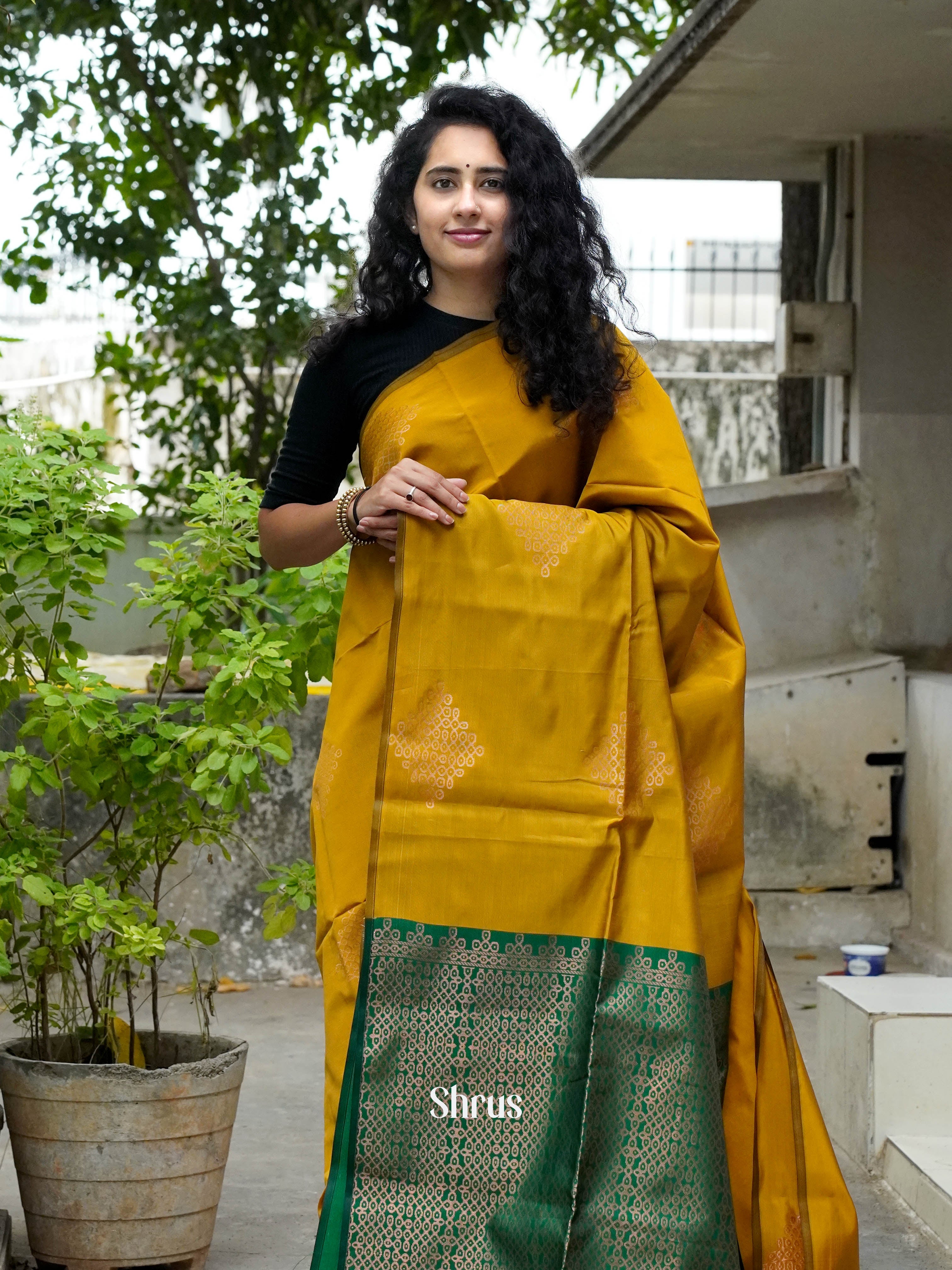 CHS14418 - Semi Softsilk Saree - Shop on ShrusEternity.com
