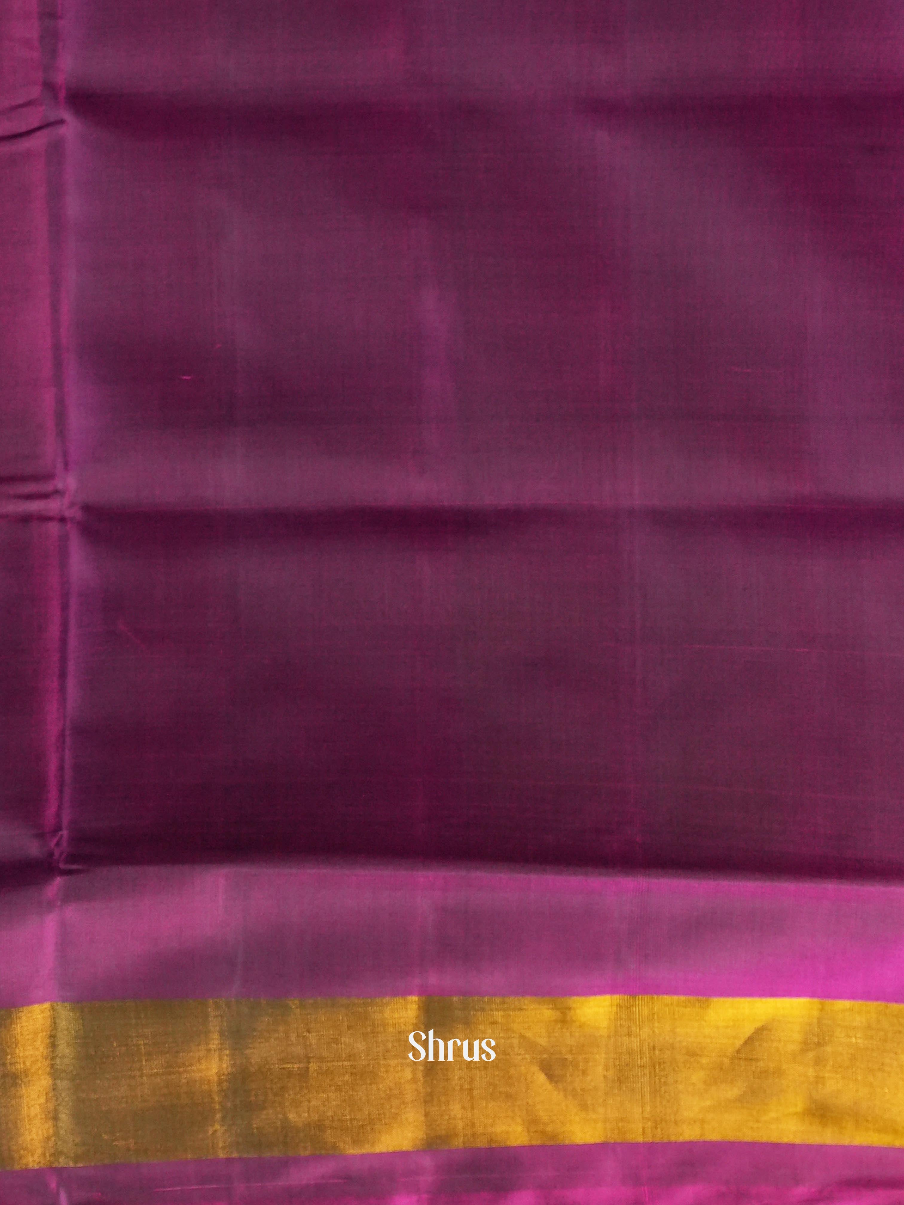 Purple(Single Tone) - Rajkot Patola Saree - Shop on ShrusEternity.com