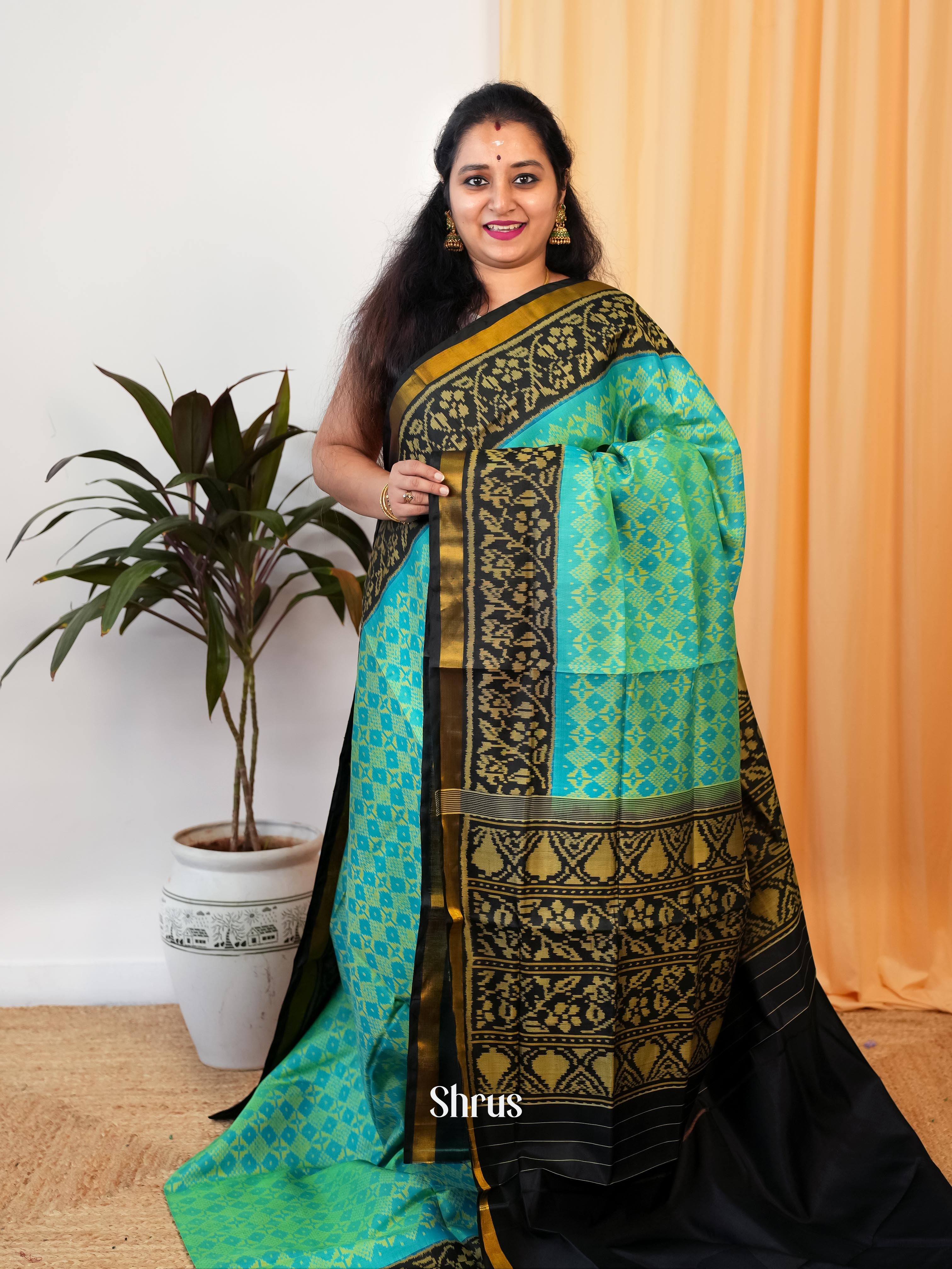 Green & Black - Rajkot Patola Saree - Shop on ShrusEternity.com